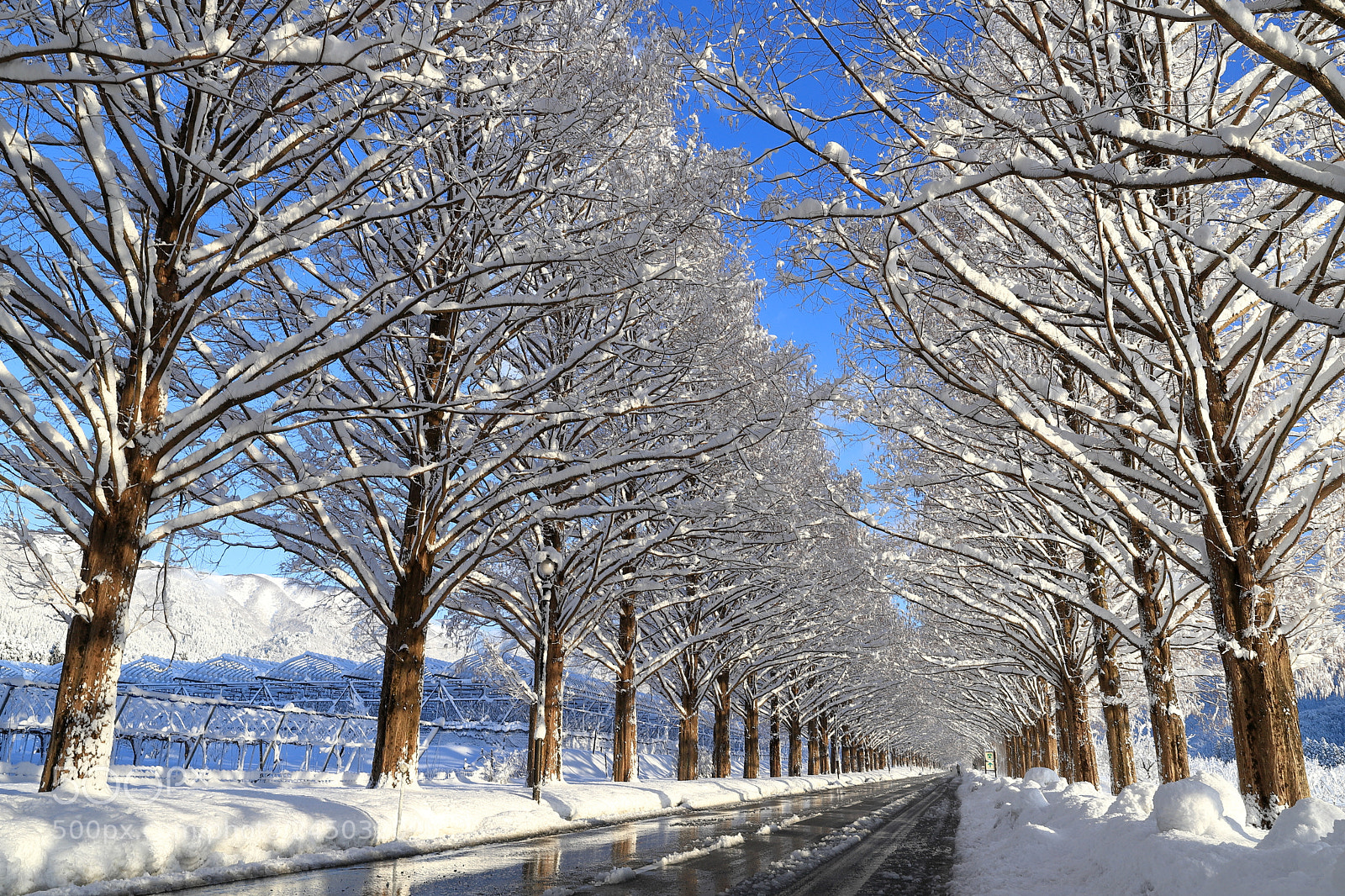 Canon EF 24-70mm F2.8L II USM sample photo. Snowy landscape photography