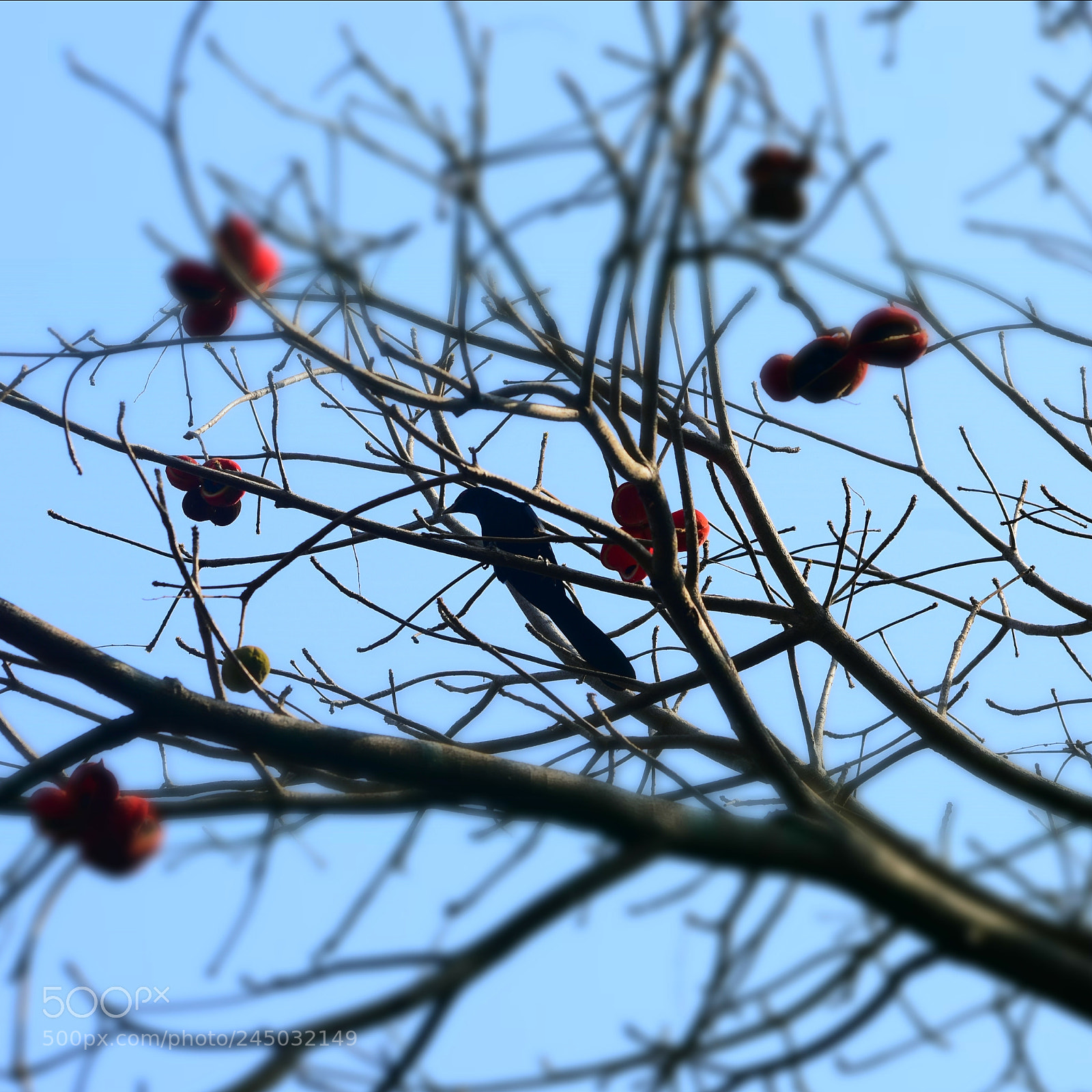 Nikon D3400 sample photo. Untitled photography