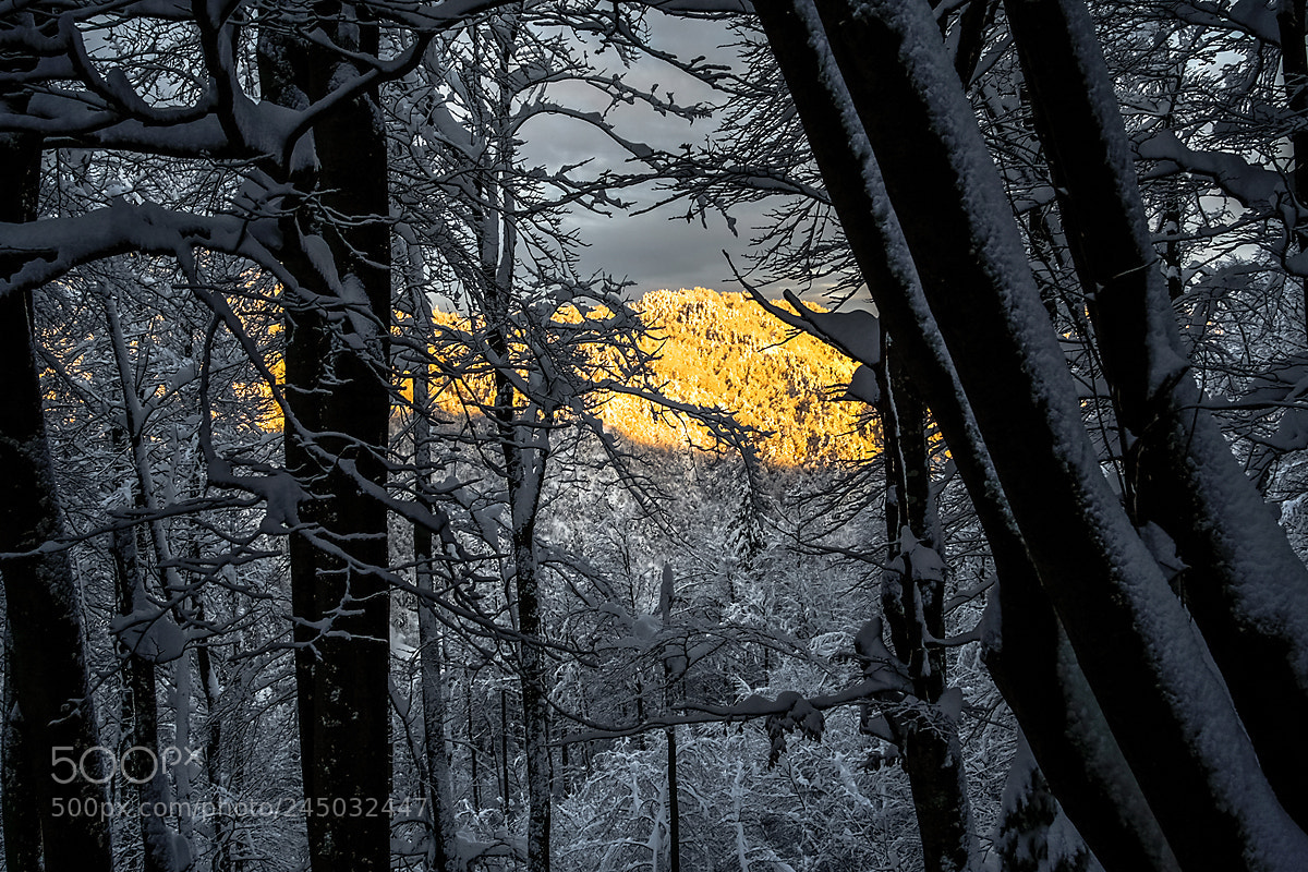 Fujifilm X-T10 sample photo. Just after the sunrise photography
