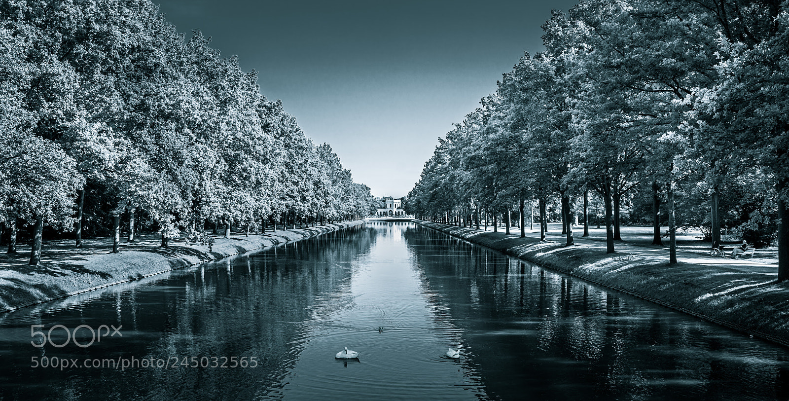 Sony a7R sample photo. Karlsaue kassel photography