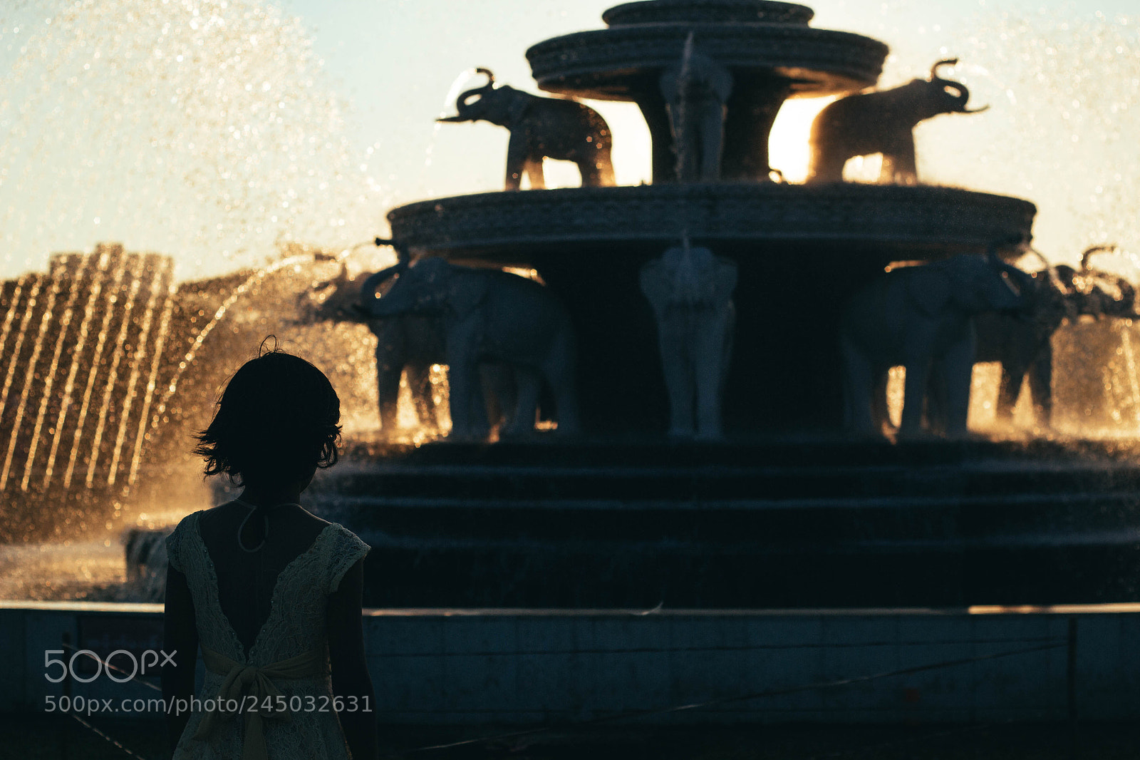 Canon EOS 60D sample photo. The elephant fountain photography