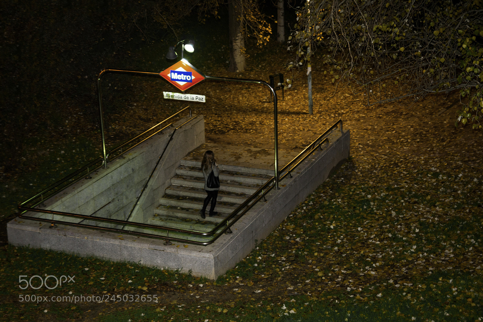 Nikon D7100 sample photo. Diary of a stalker photography