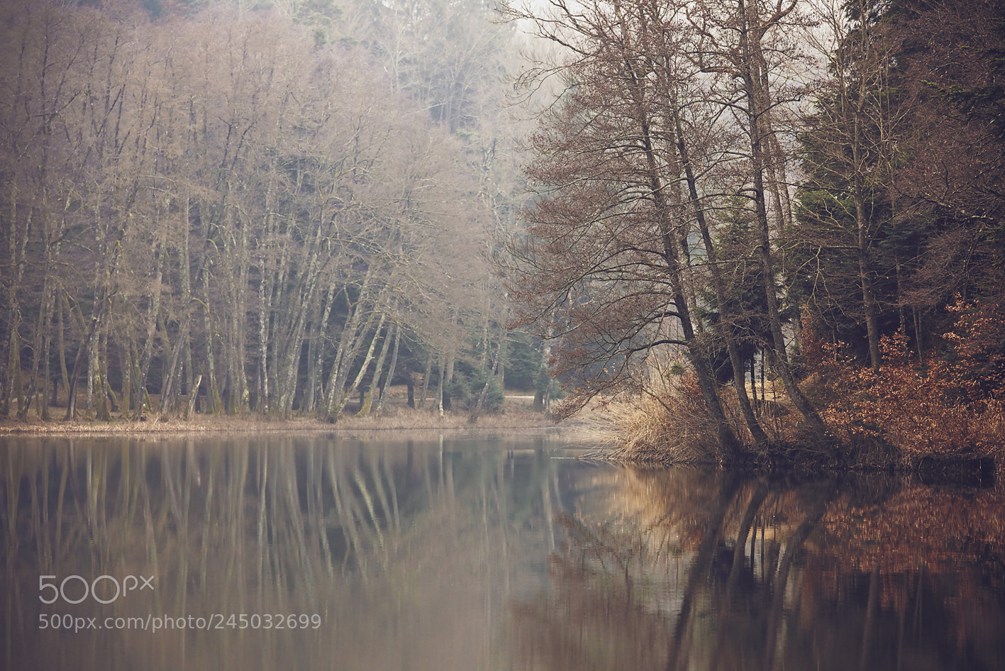Nikon D810 sample photo. Winter moments photography