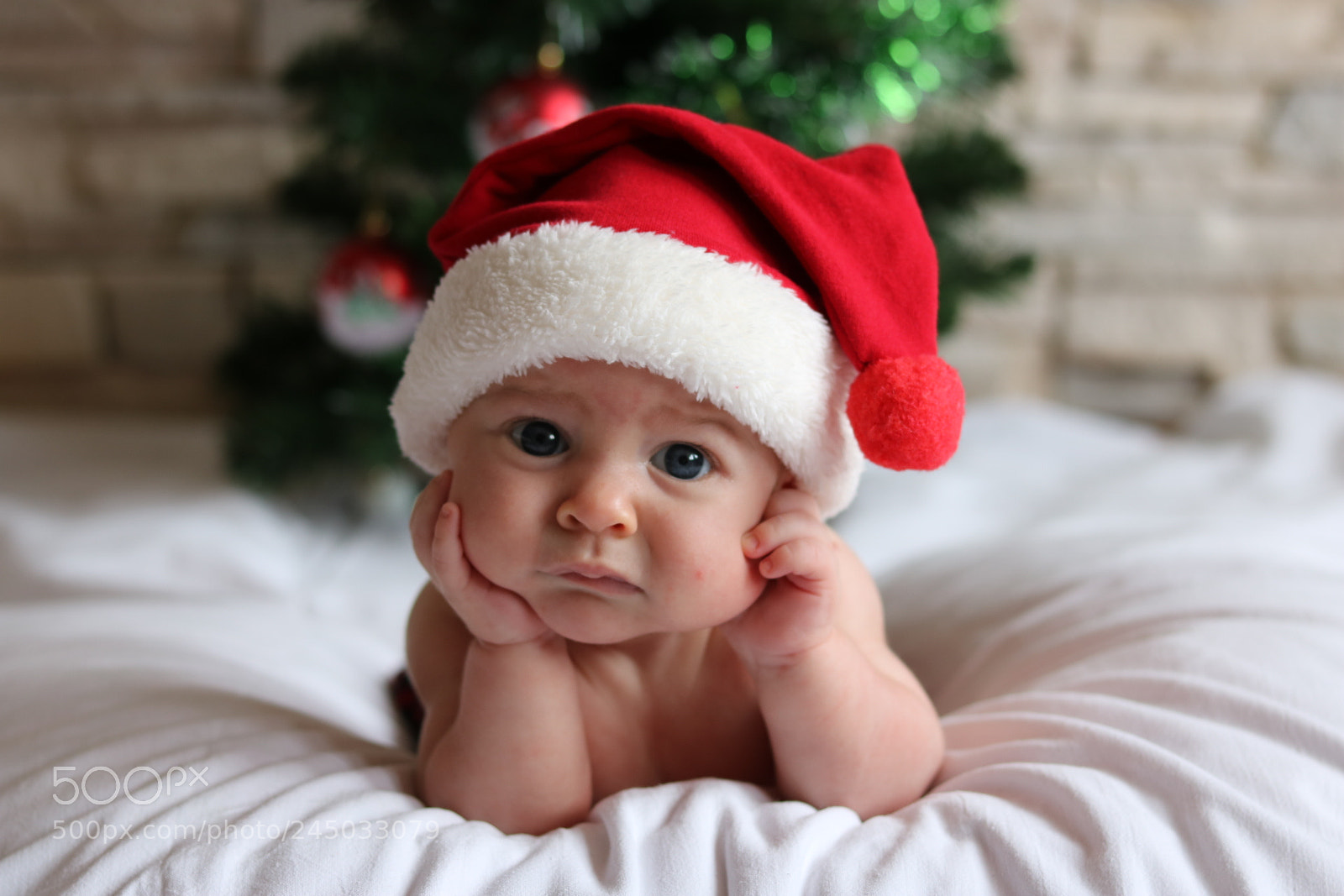 Canon EOS 750D (EOS Rebel T6i / EOS Kiss X8i) + Canon EF 50mm F1.8 STM sample photo. My son mateo ? photography