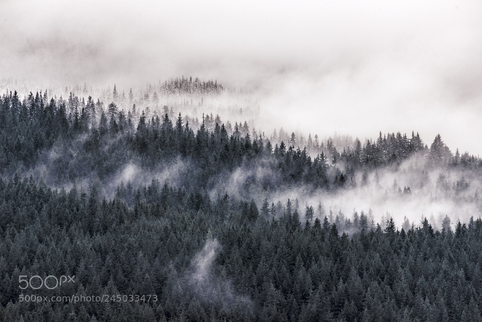 Nikon D610 sample photo. Grouse mountain cloud line photography