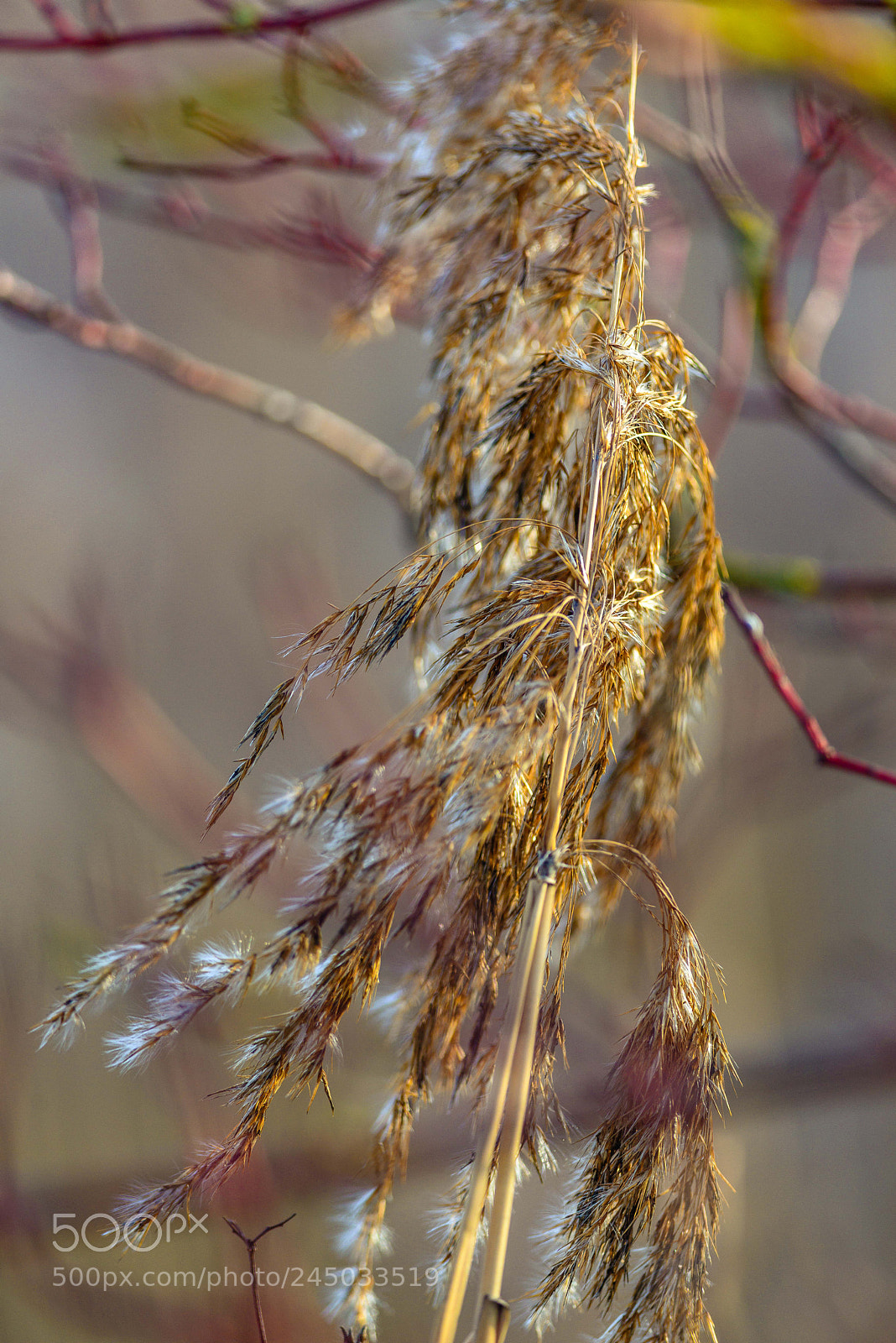 Nikon D800 sample photo. Untitled photography
