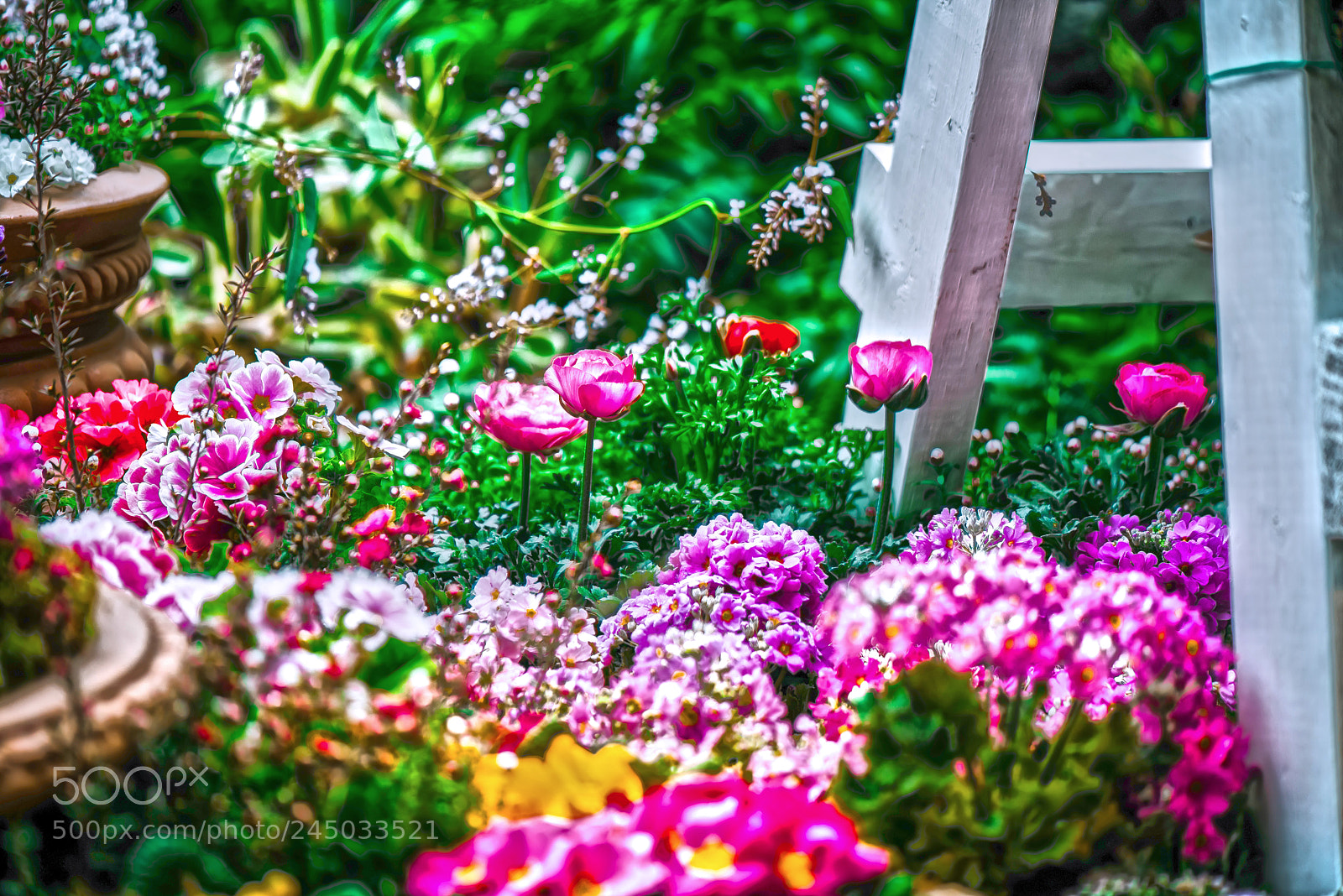 Nikon D800E sample photo. Fineday greenhouse flower photography