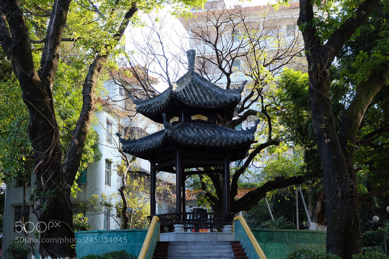 Fujifilm X-T20 sample photo. Balance photography