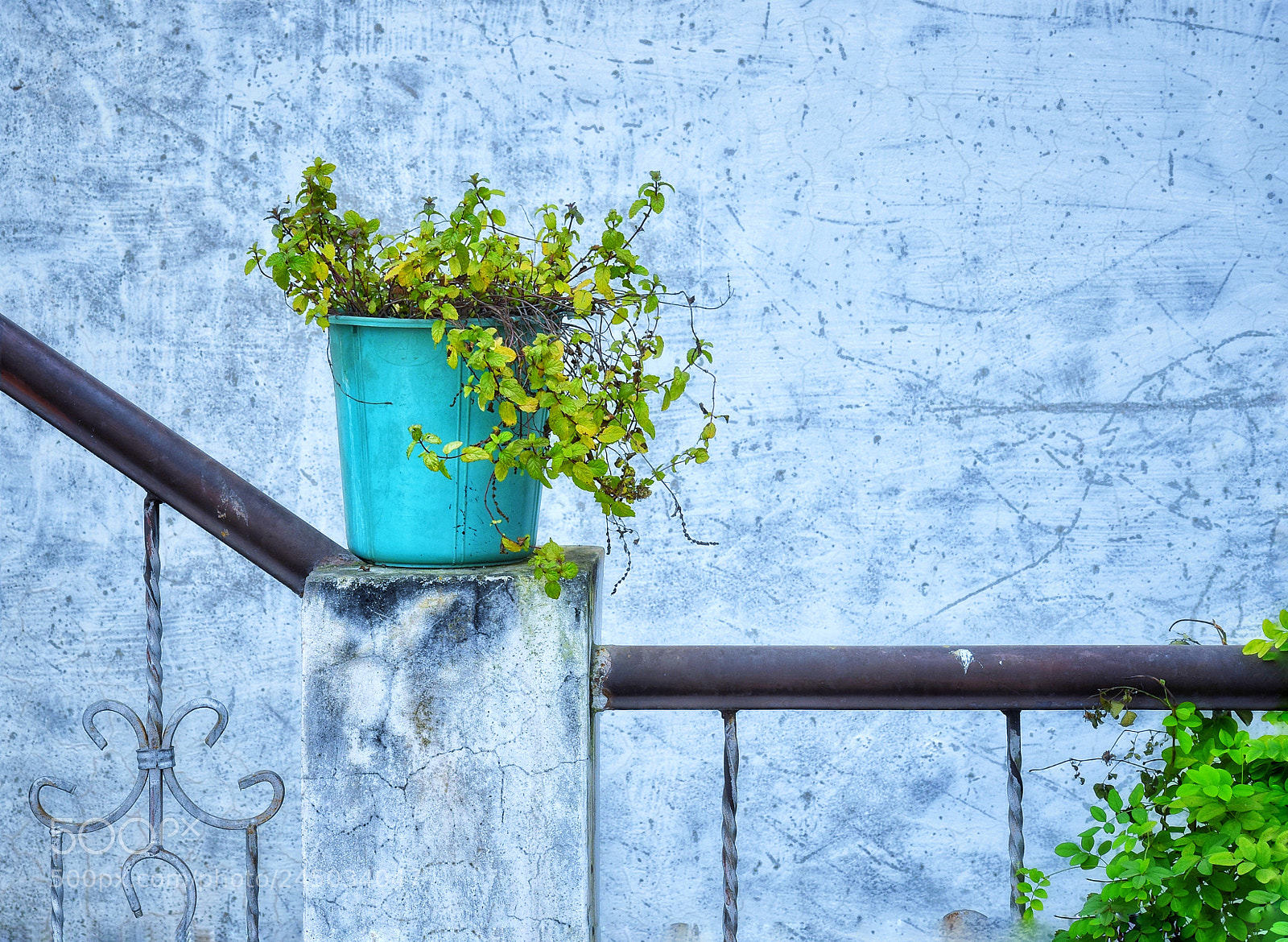 Nikon D5500 sample photo. Gumla photography