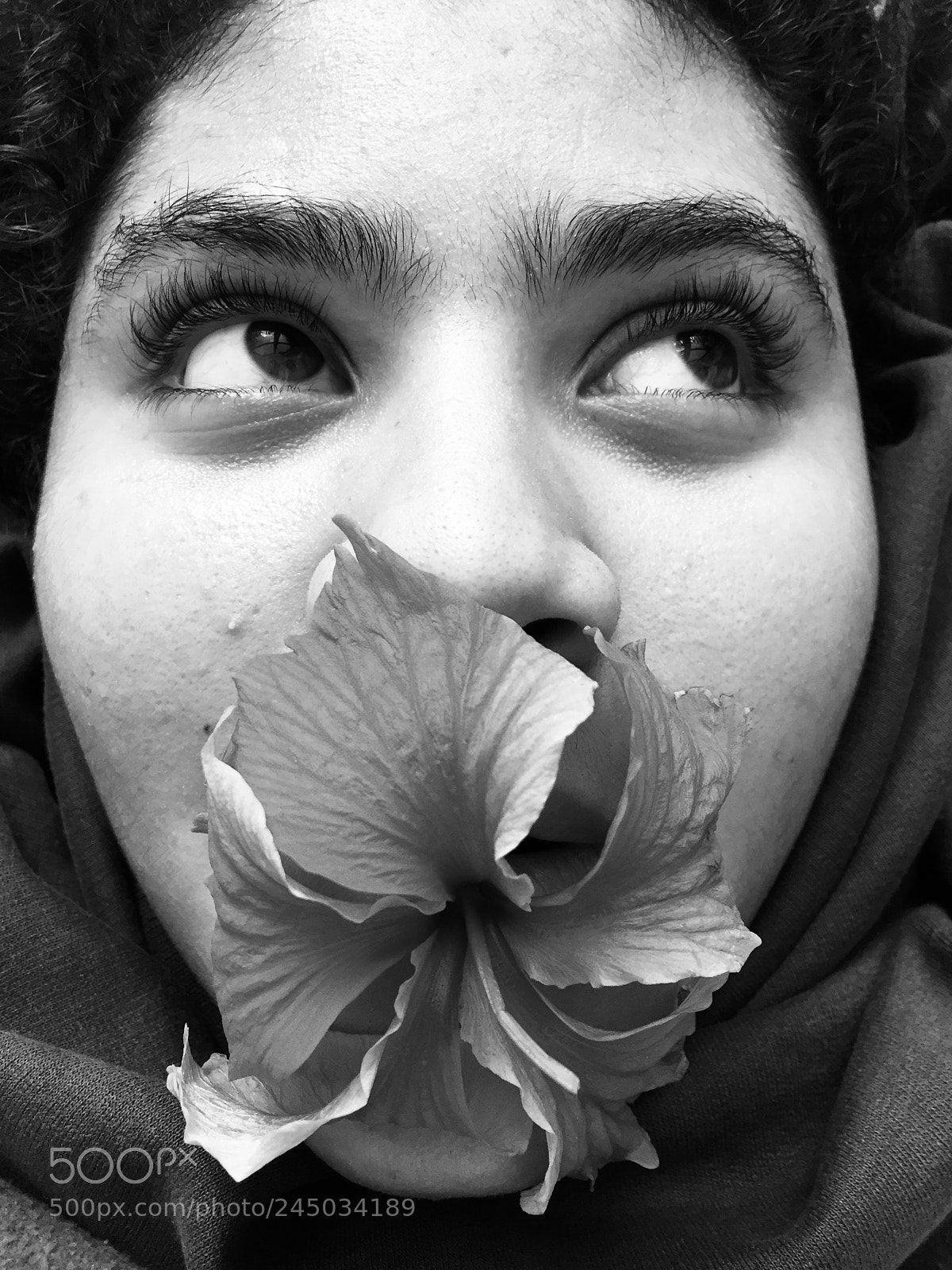 Apple iPhone 6 sample photo. Untitled photography