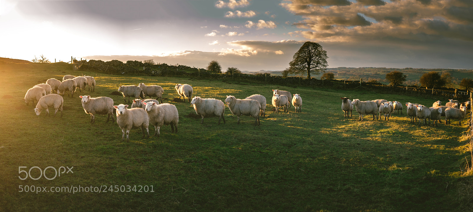 Fujifilm X-T2 sample photo. Everyone has a farmland photography