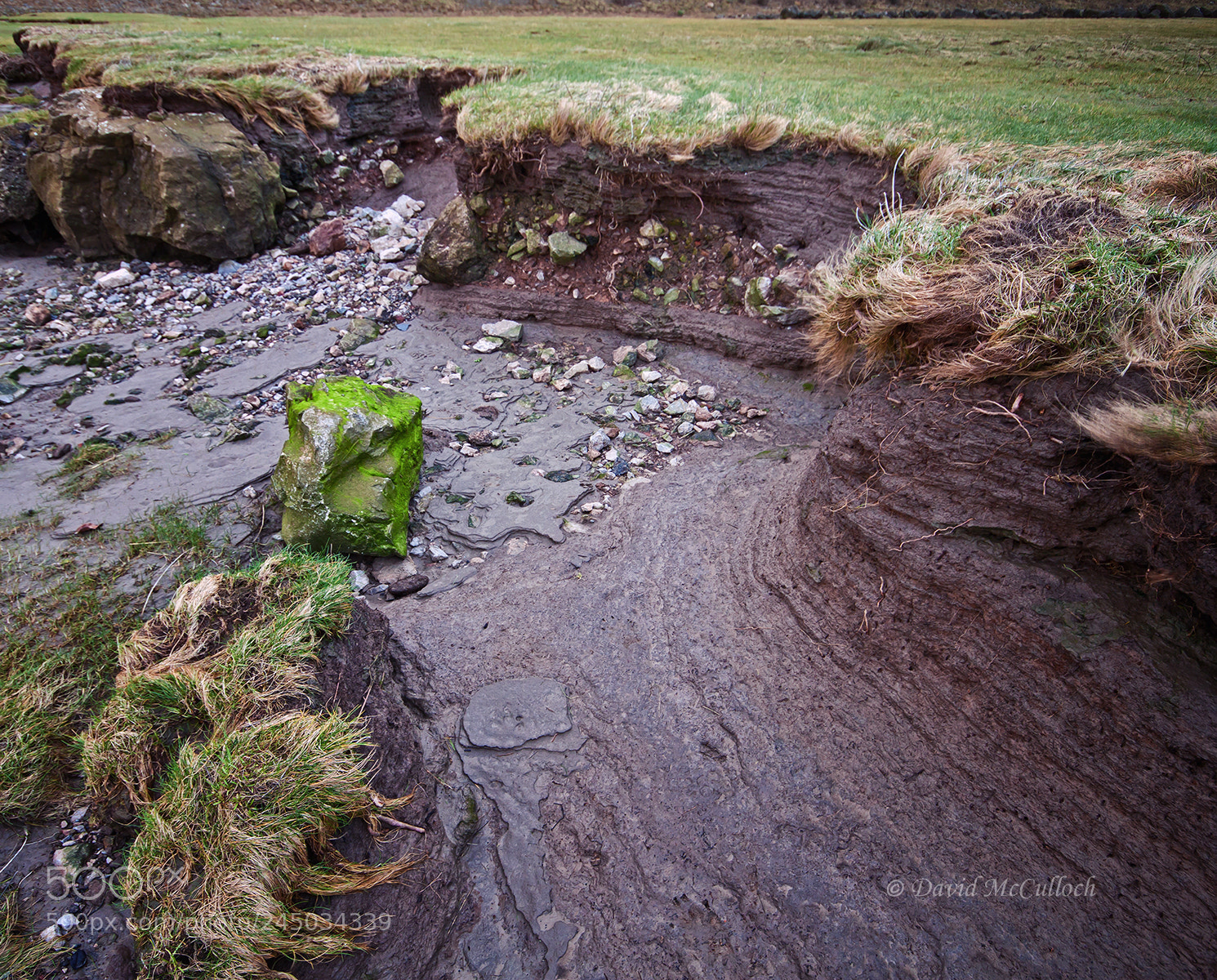 Canon EOS 500D (EOS Rebel T1i / EOS Kiss X3) sample photo. The dark river bank photography