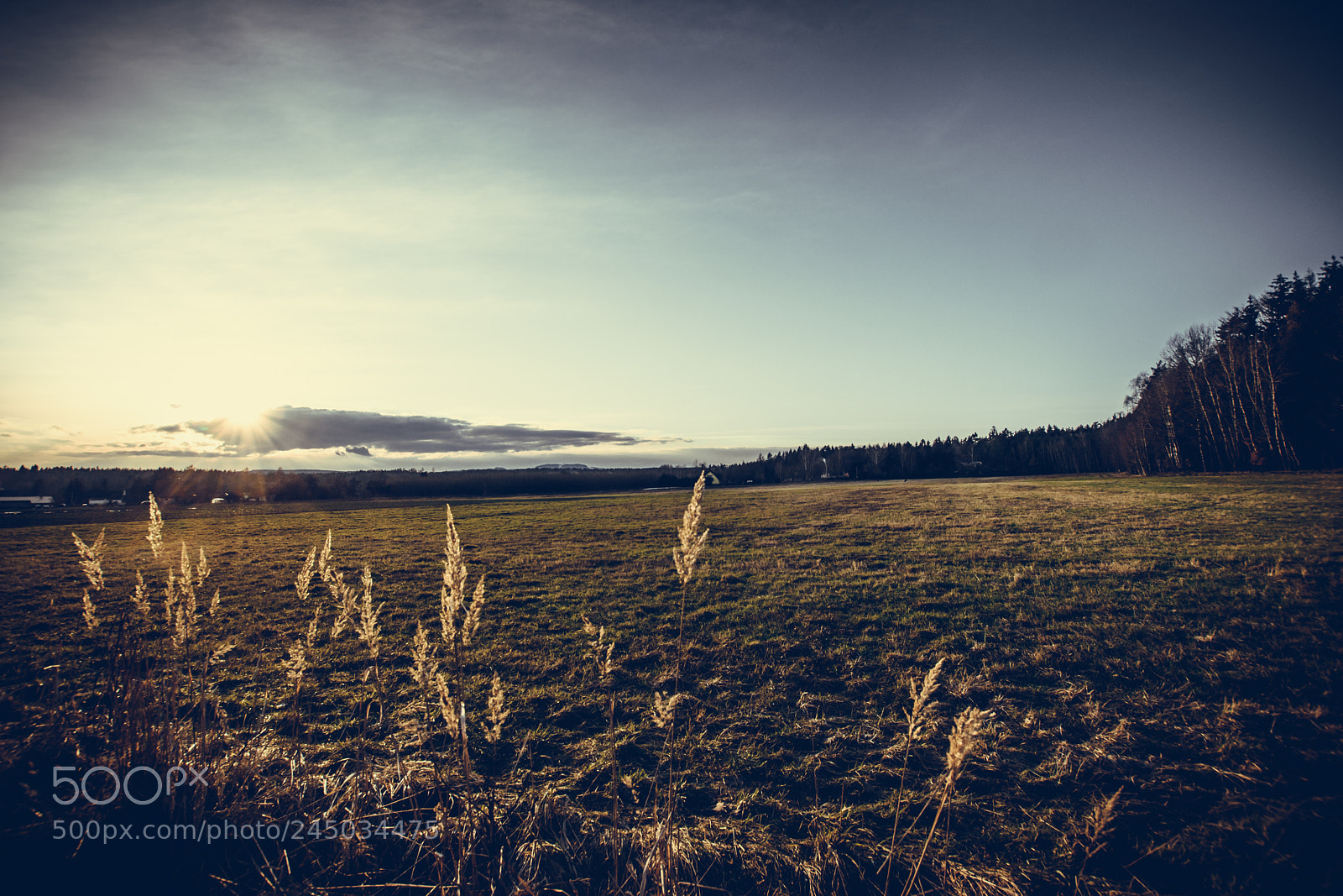 Nikon D5500 sample photo. Beautiful day photography
