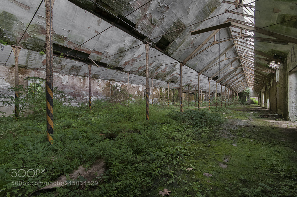 Nikon D300 sample photo. I giardini dell'eden photography