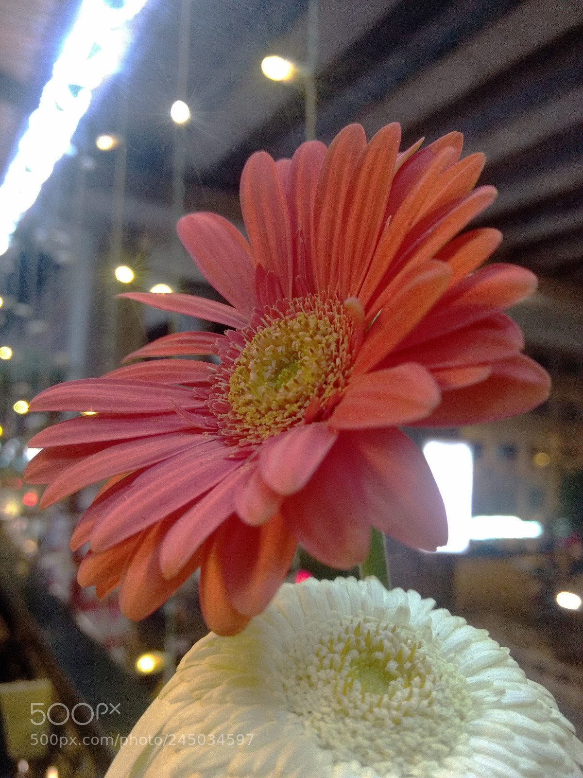 Motorola Moto Z Play sample photo. Untitled photography