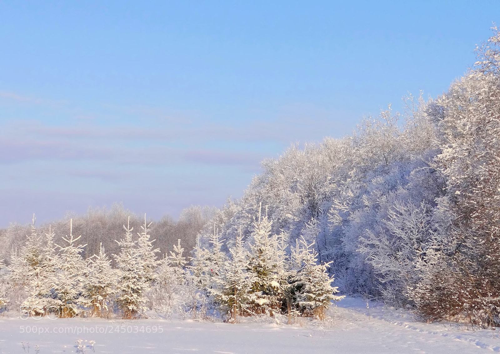 Sony DSC-HX200V sample photo. Winter wonderland photography