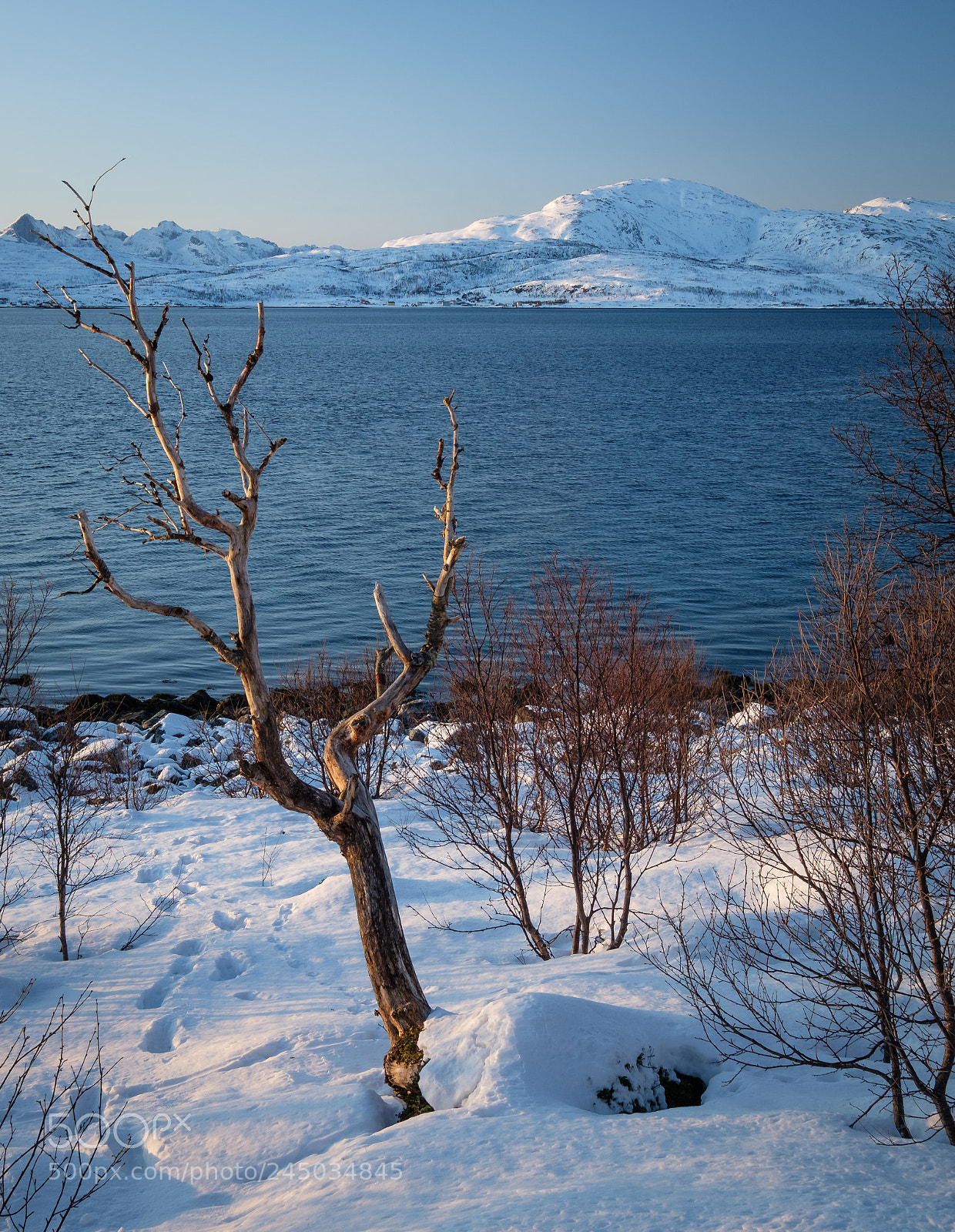 Fujifilm X-Pro2 sample photo. By the fjord photography