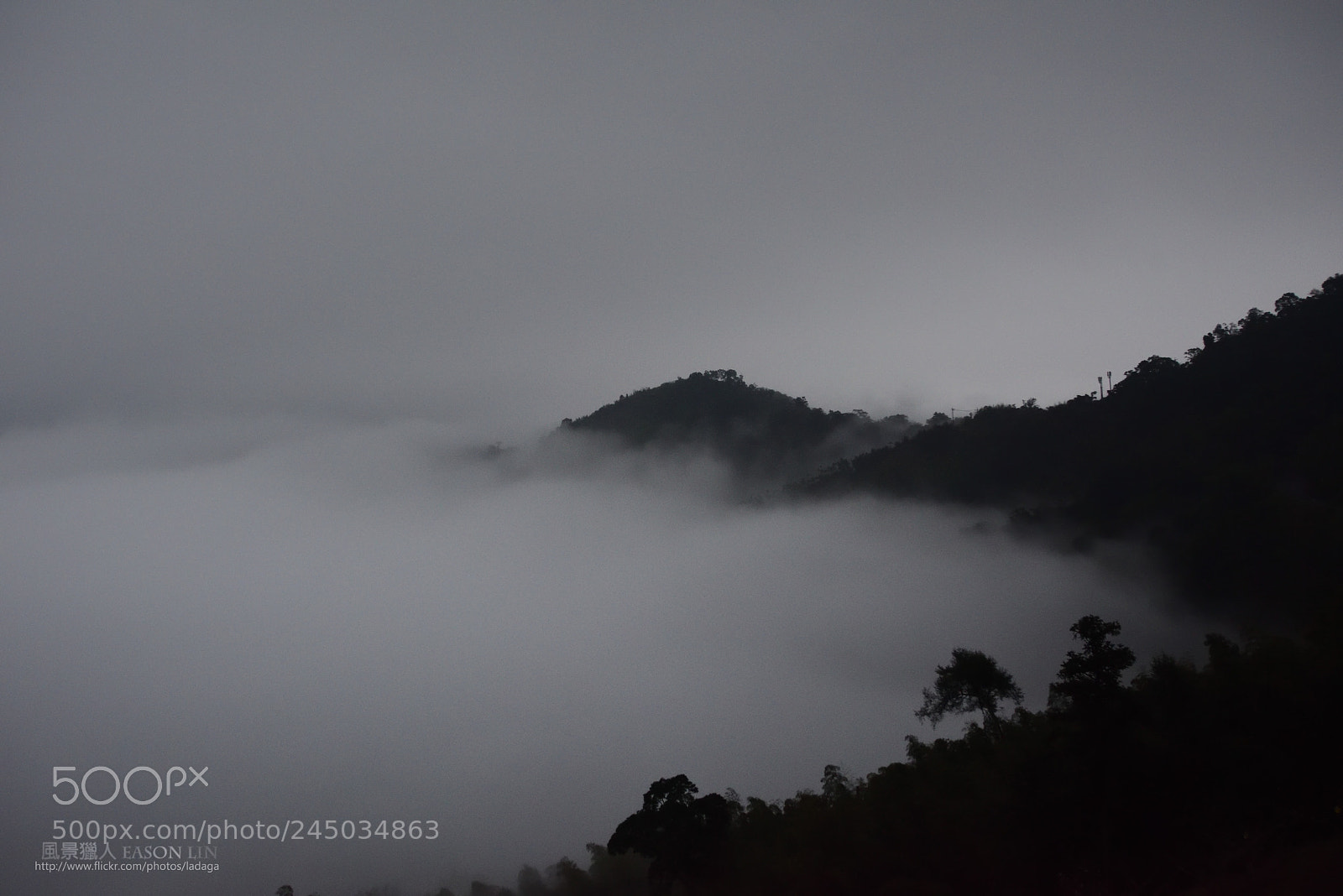 Nikon D810 sample photo. 雲海 photography