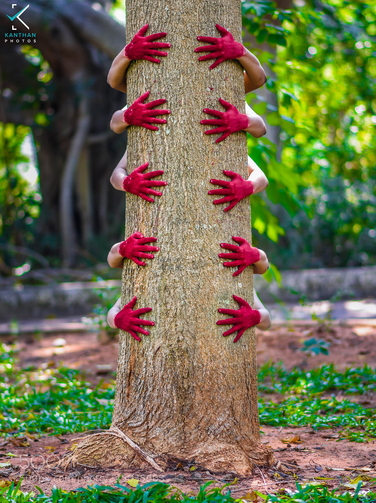 Nikon D5600 sample photo. Red hands photography