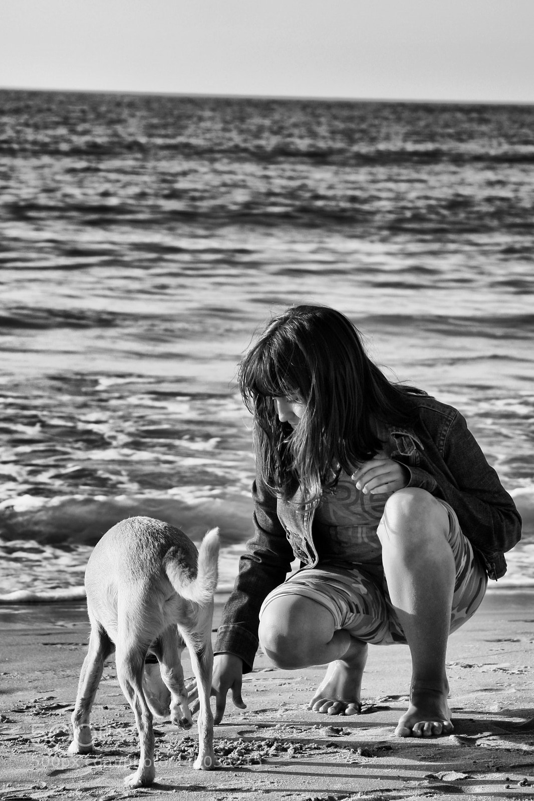 Canon EOS 40D sample photo. Archive photography