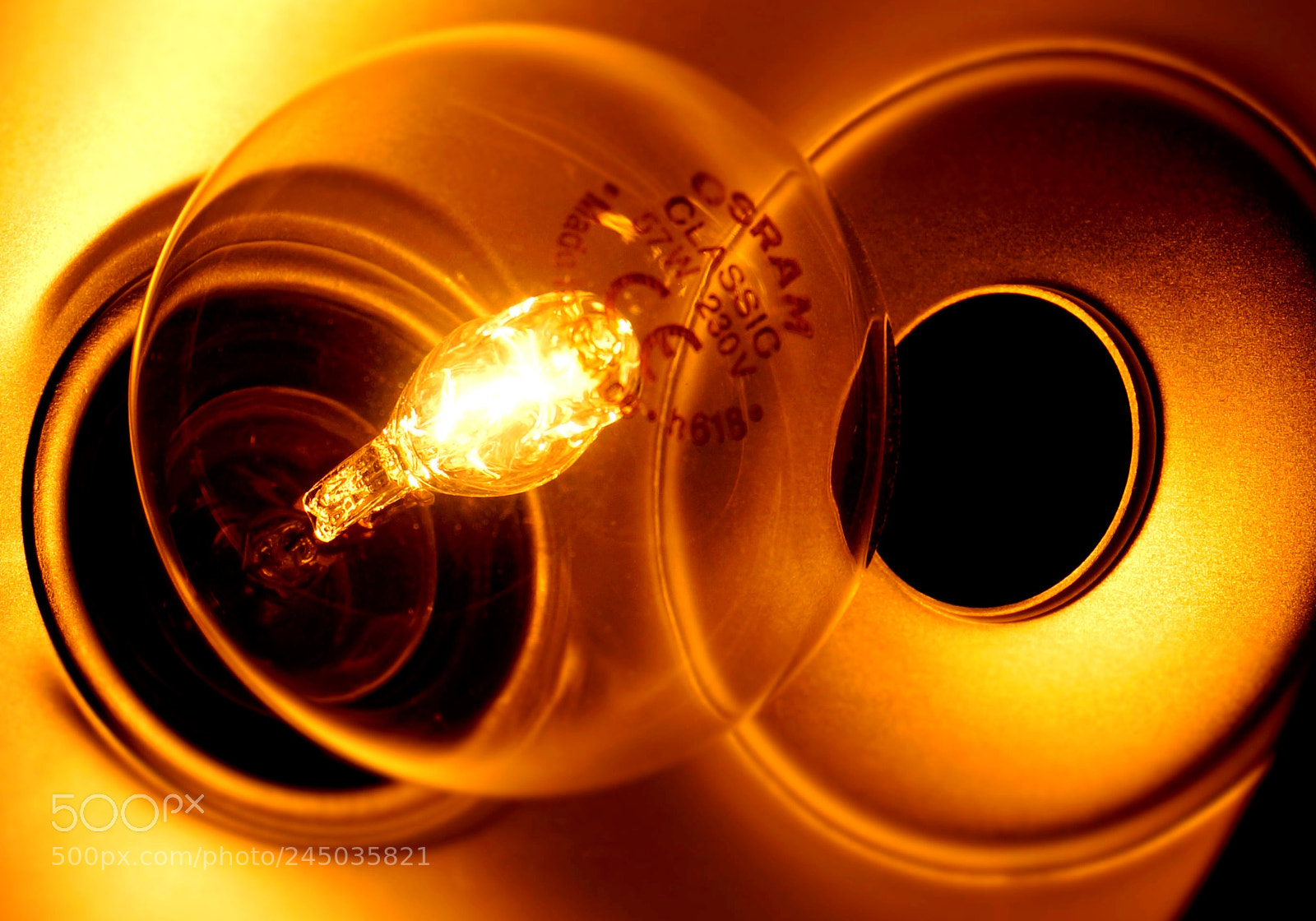 Sony Alpha NEX-6 sample photo. Jurassic bulb - a photography