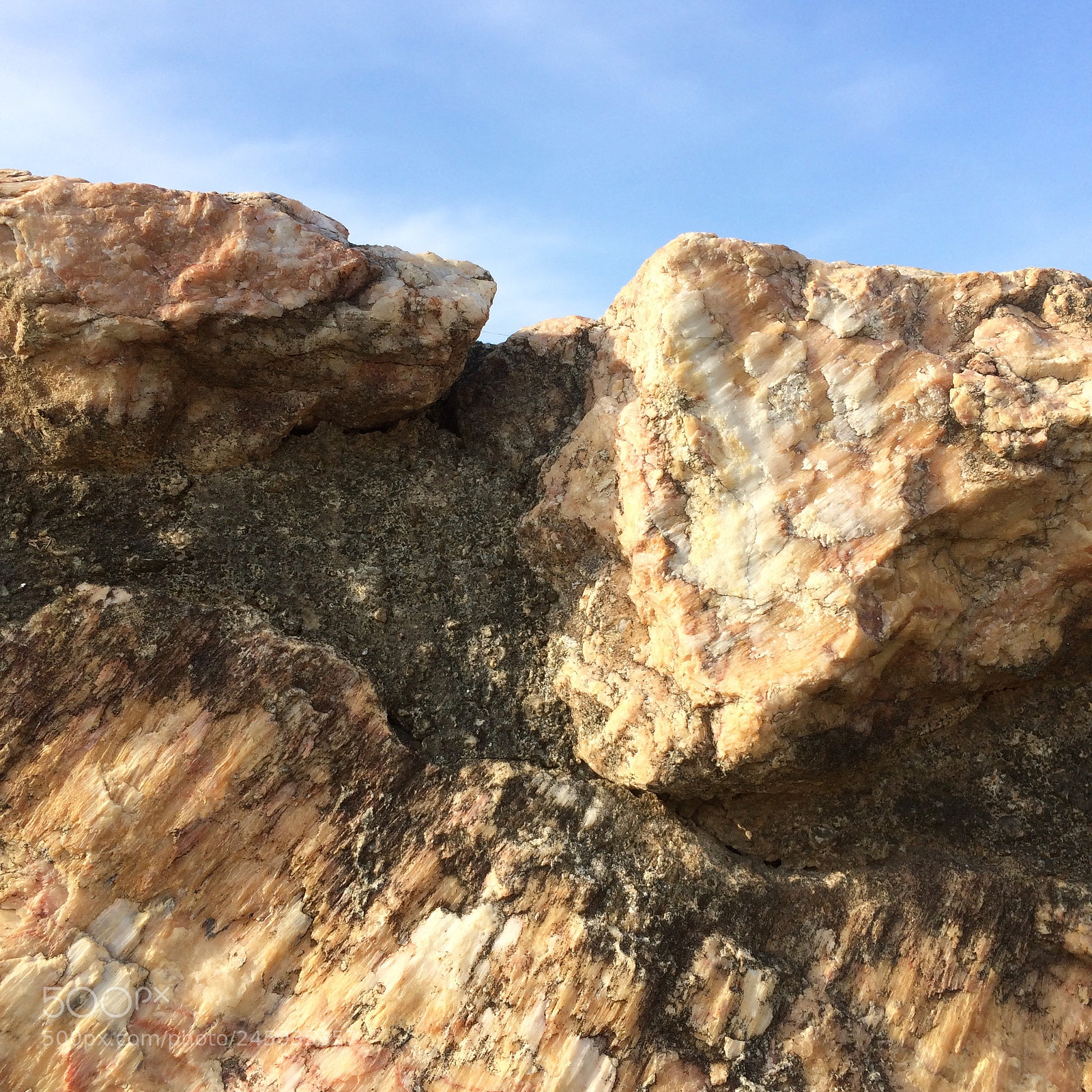 Apple iPhone 5s sample photo. I don't even know photography