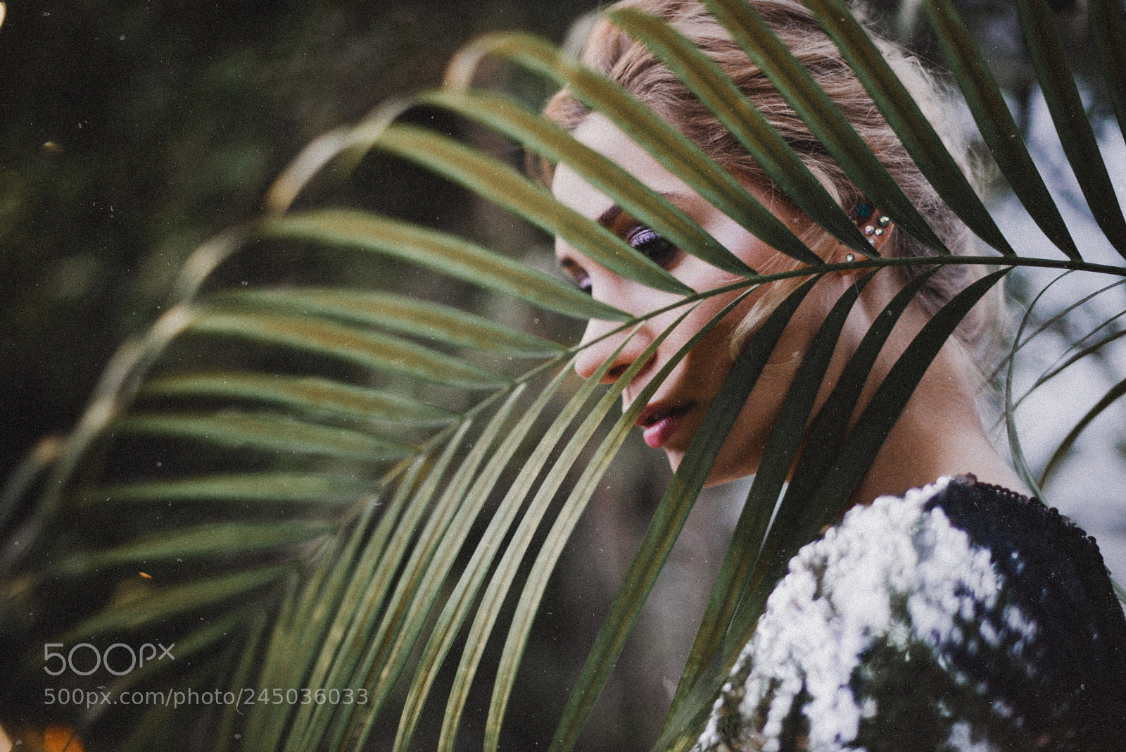 Nikon D800 sample photo. Red photography