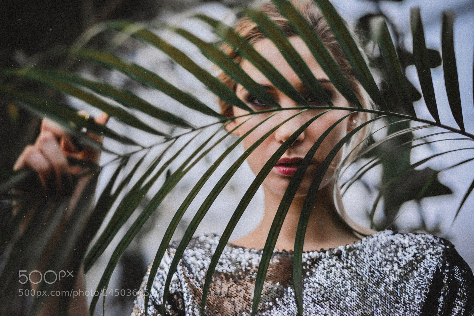 Nikon D800 sample photo. Red photography