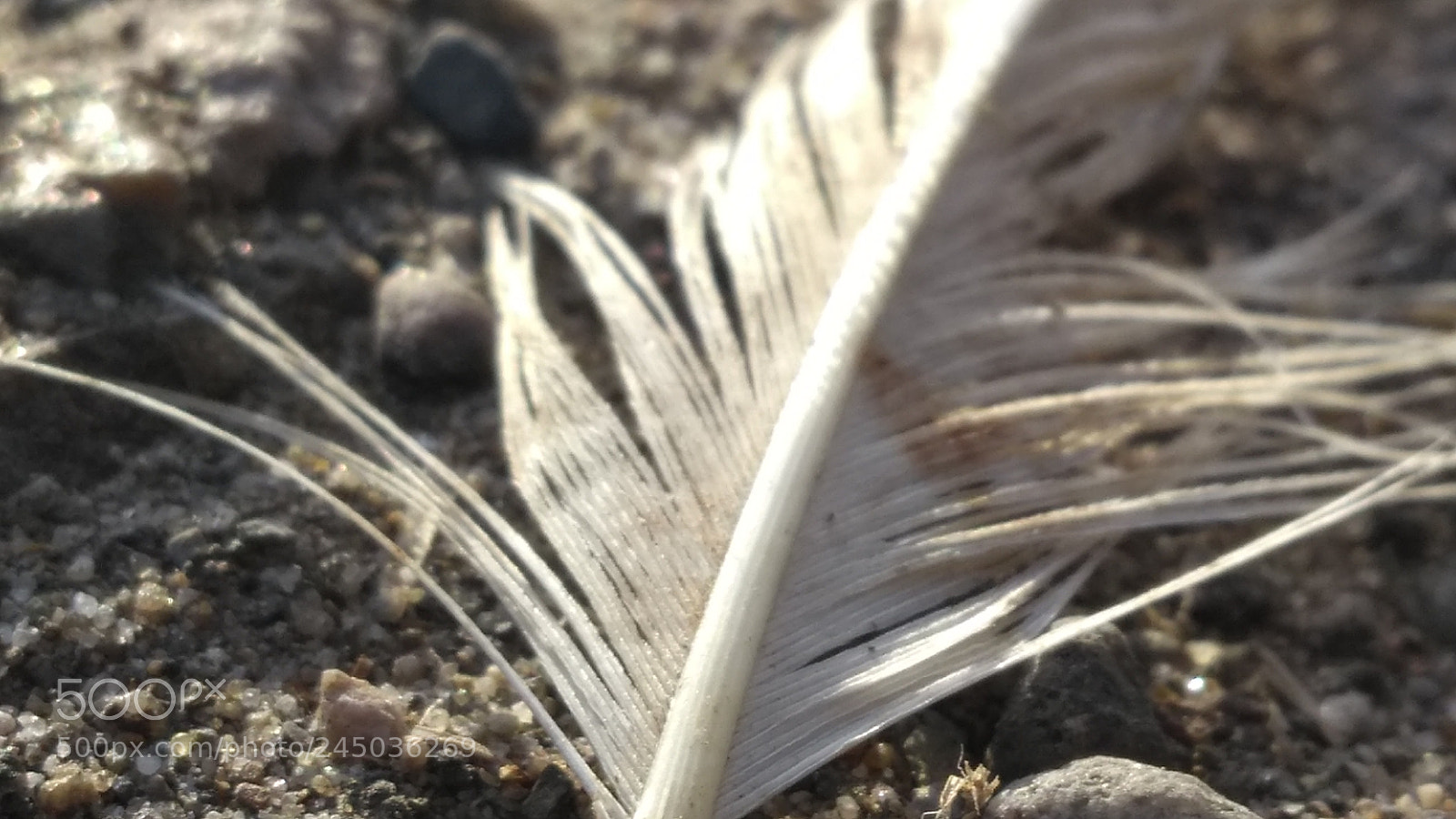 Motorola Moto G (5th Gen) sample photo. Untitled photography
