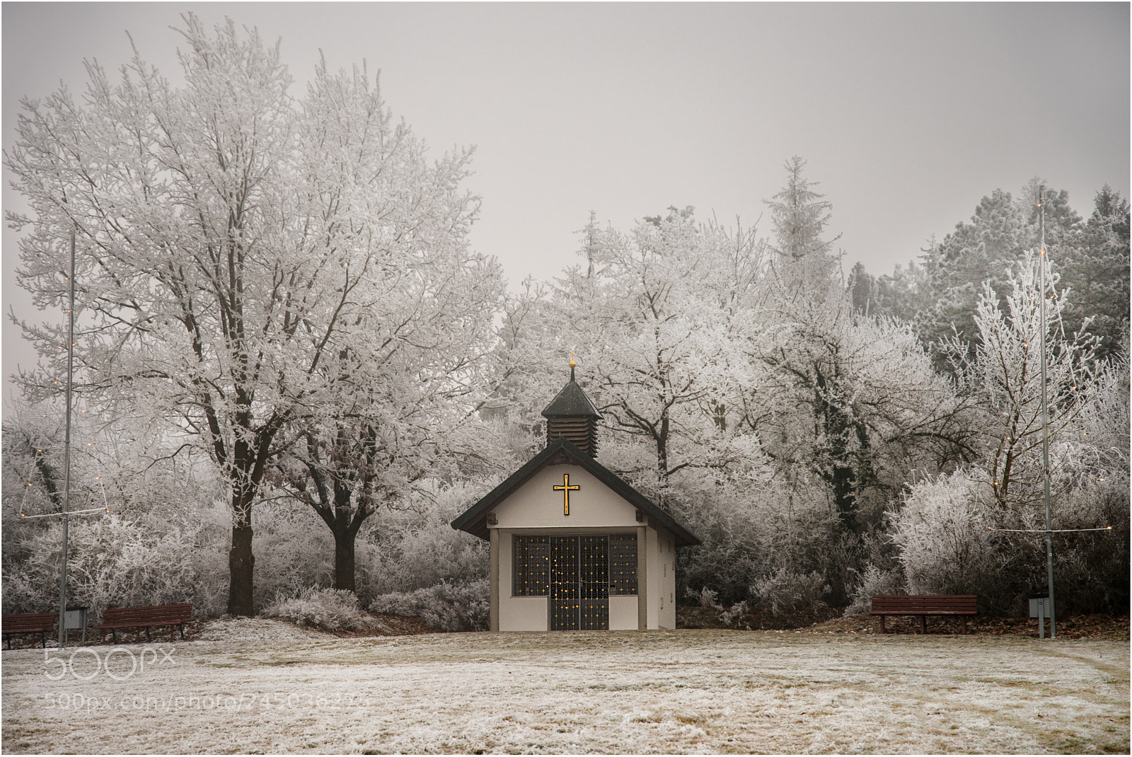 Nikon D610 sample photo. Kapelle photography