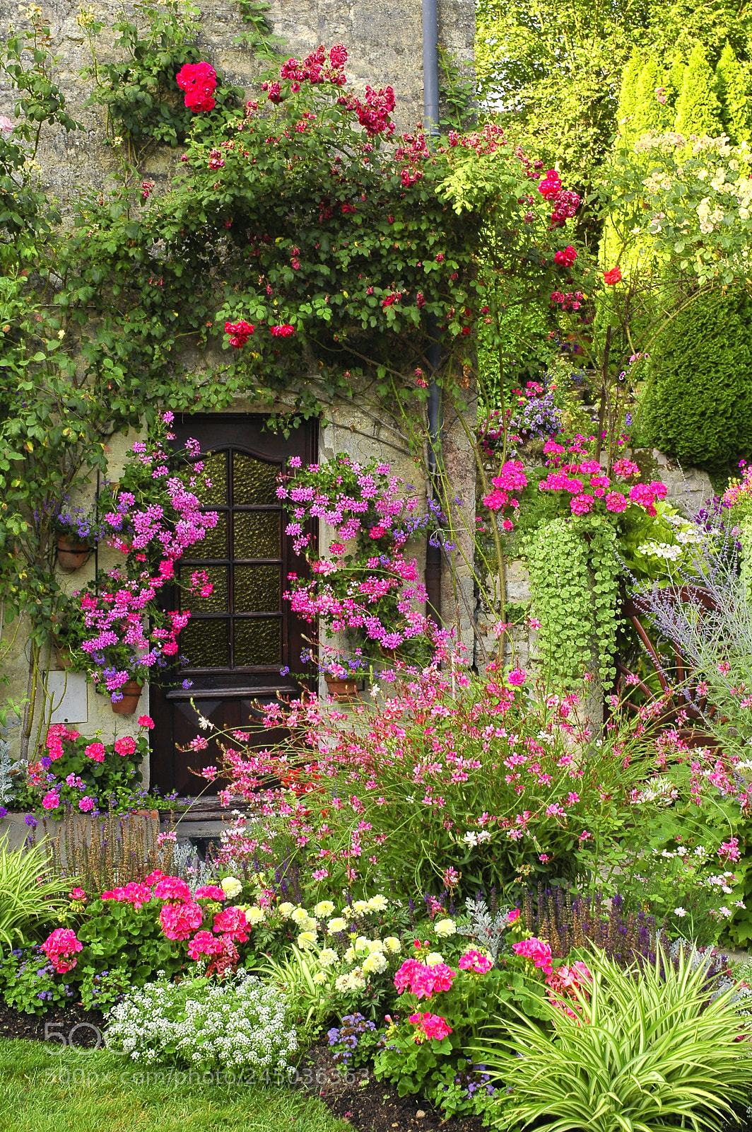 Nikon D70 sample photo. Blaye (aquitaine, france) photography