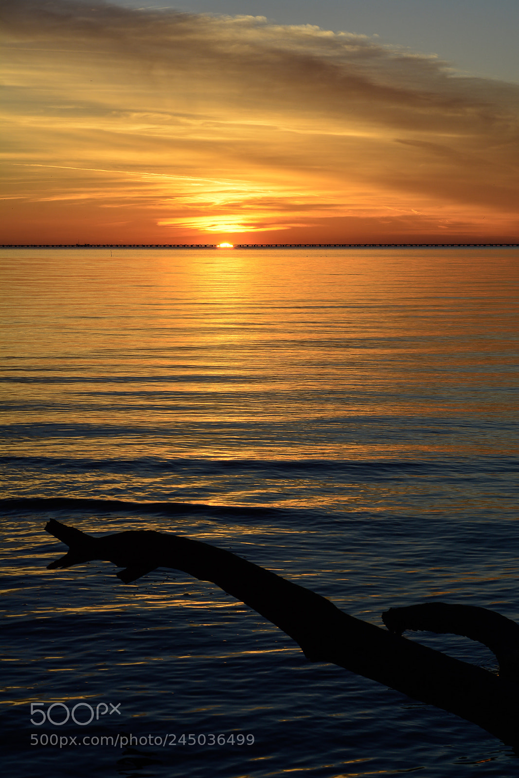 Nikon D7100 sample photo. Sunset at fontainebleau photography