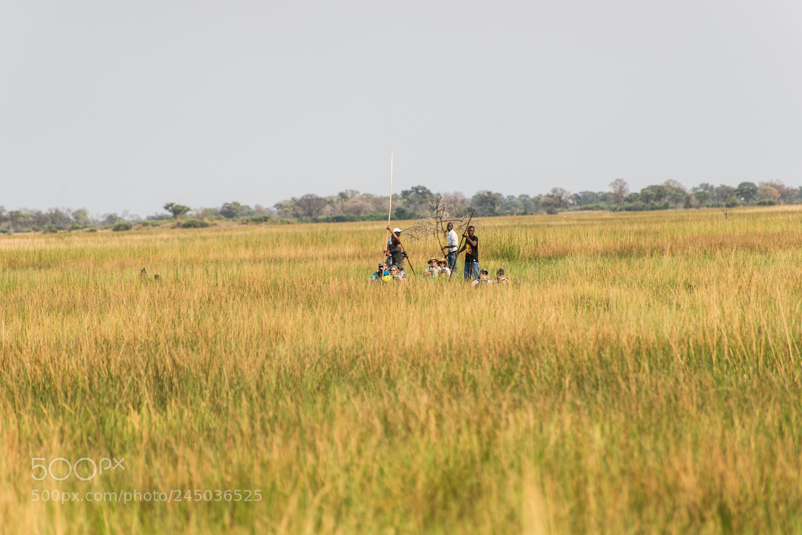 Nikon D610 sample photo. Returning to the mokoro photography