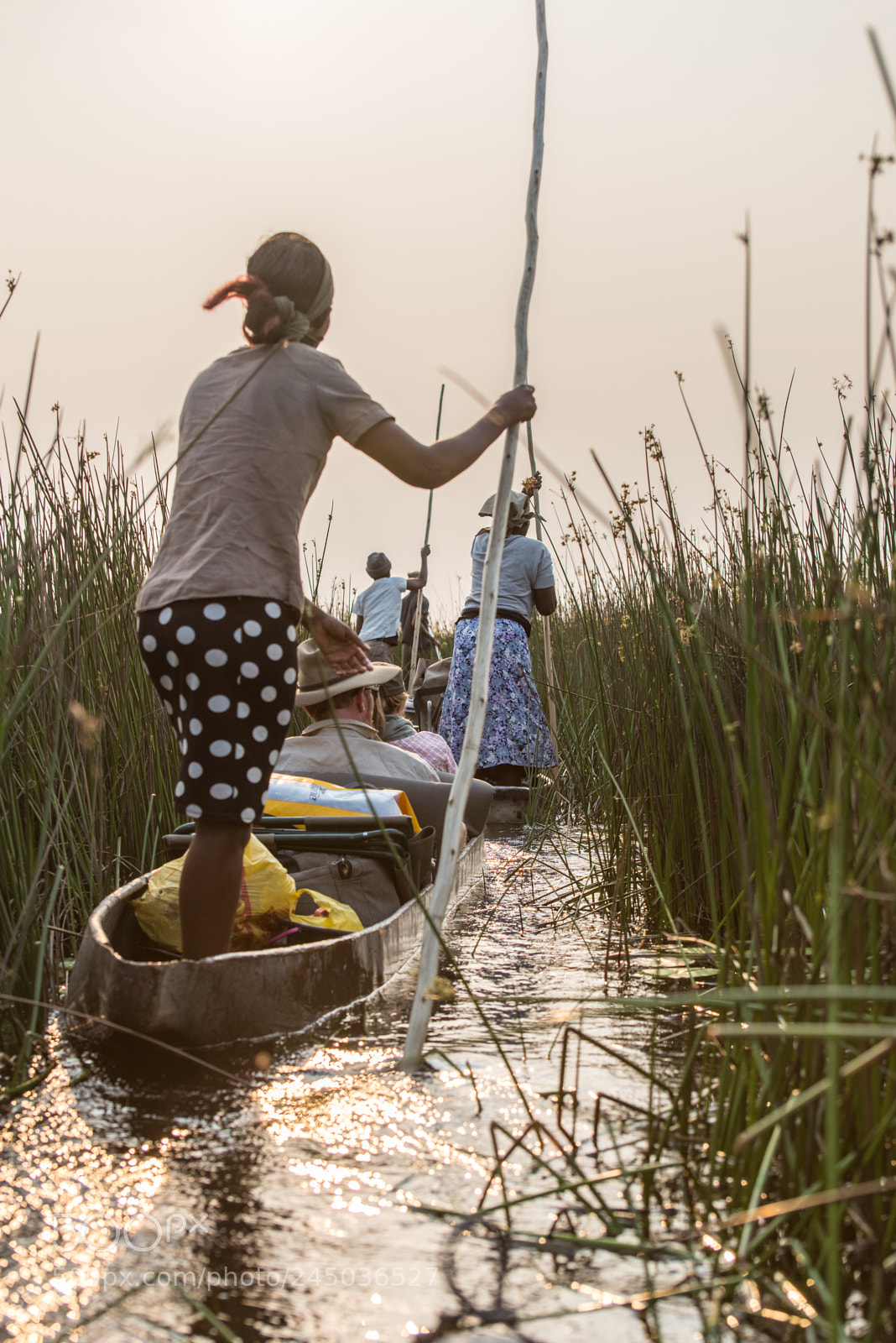 Nikon D610 sample photo. Poling through the reeds photography