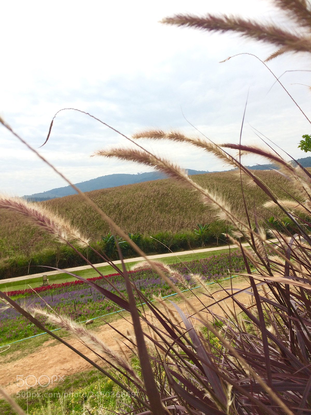 Apple iPhone 5s sample photo. Rolling hills photography