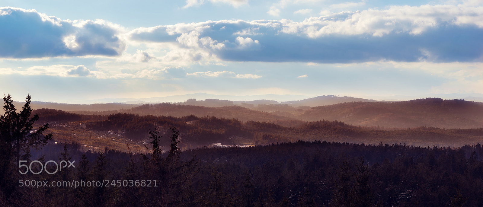 Sony a7R sample photo. Sunlight photography