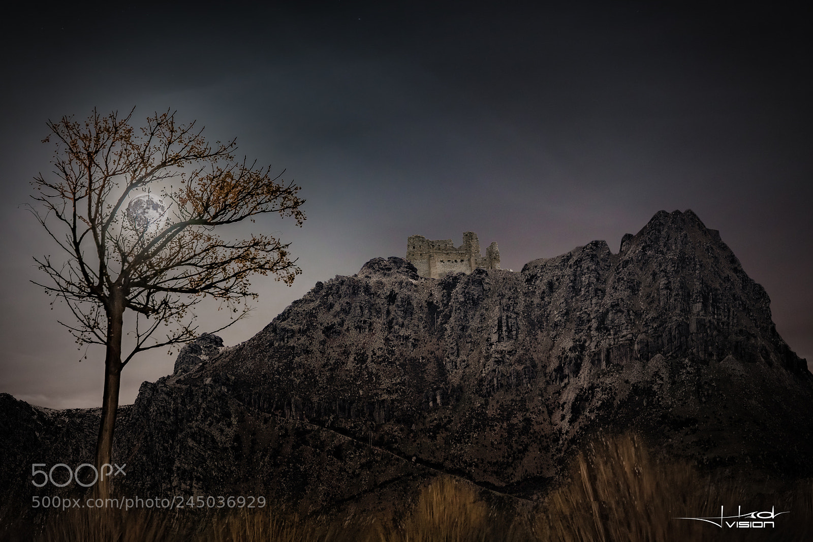 Sony a7R II sample photo. Castle ruins photography