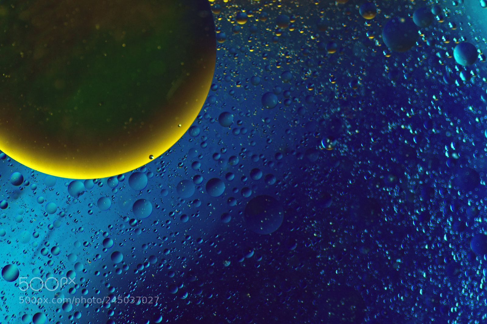 Nikon D5500 sample photo. Lost in the space photography