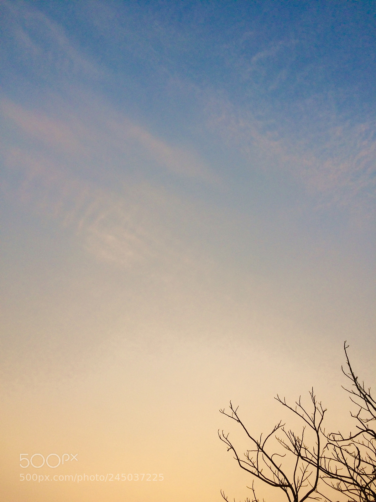 Apple iPhone 5s sample photo. Untitled photography