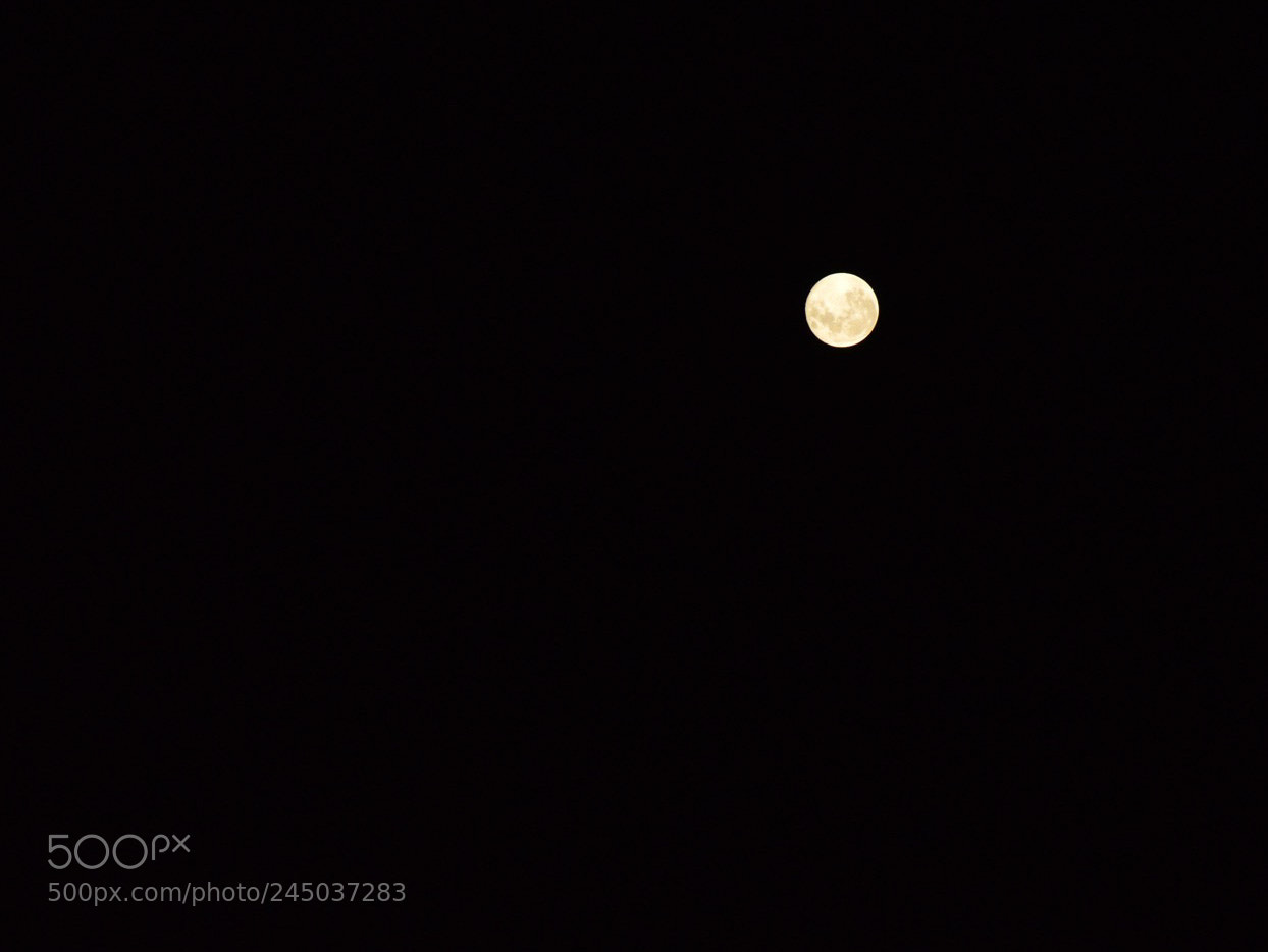 Nikon D3200 sample photo. Luna lunera cascabelera ? photography