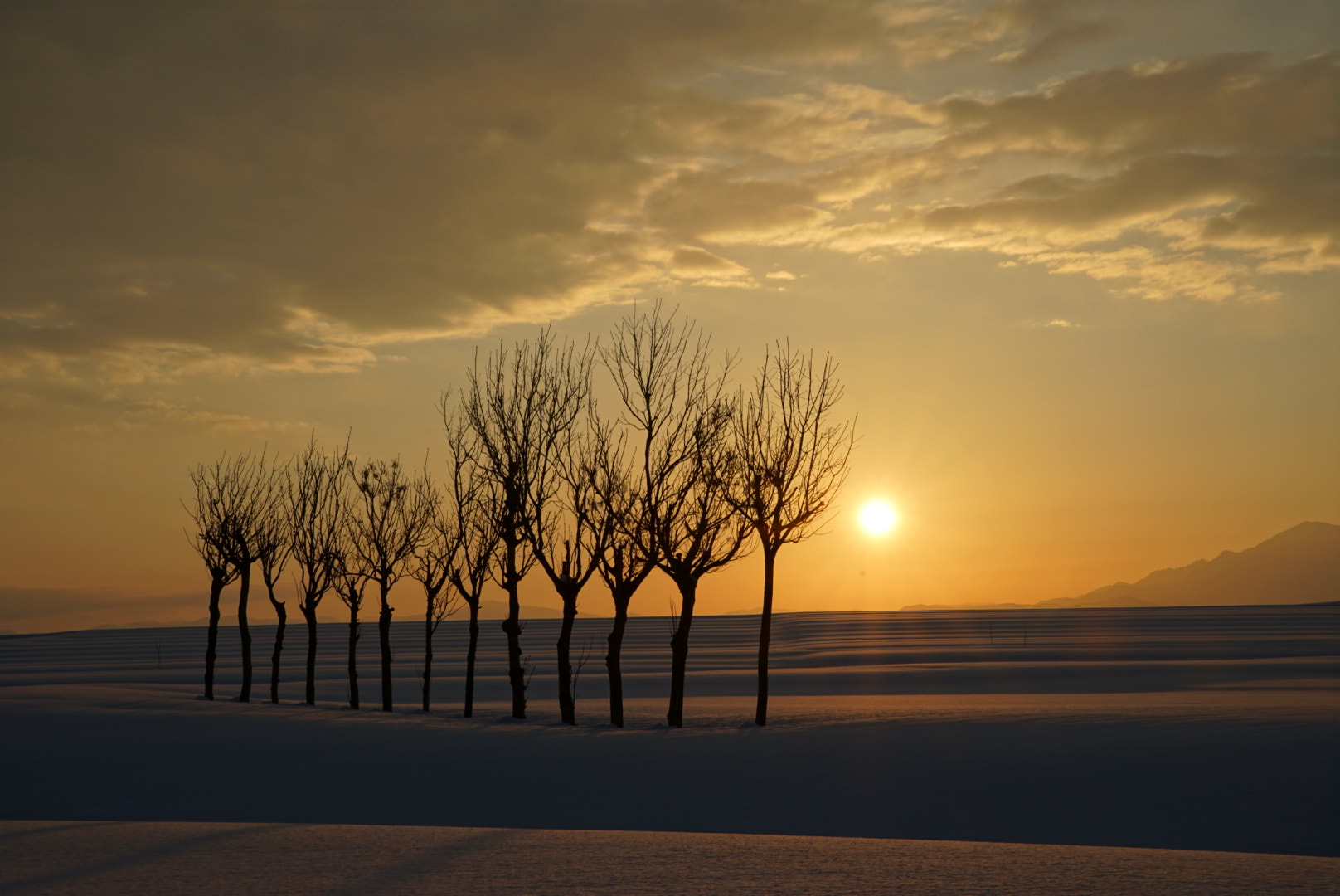 Canon EF 300mm F2.8L IS II USM sample photo. 雪原の稲架木 photography