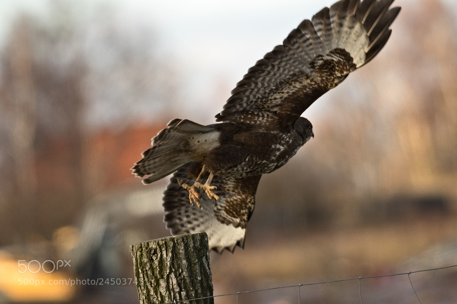 Canon EOS 7D Mark II sample photo. Take-off photography