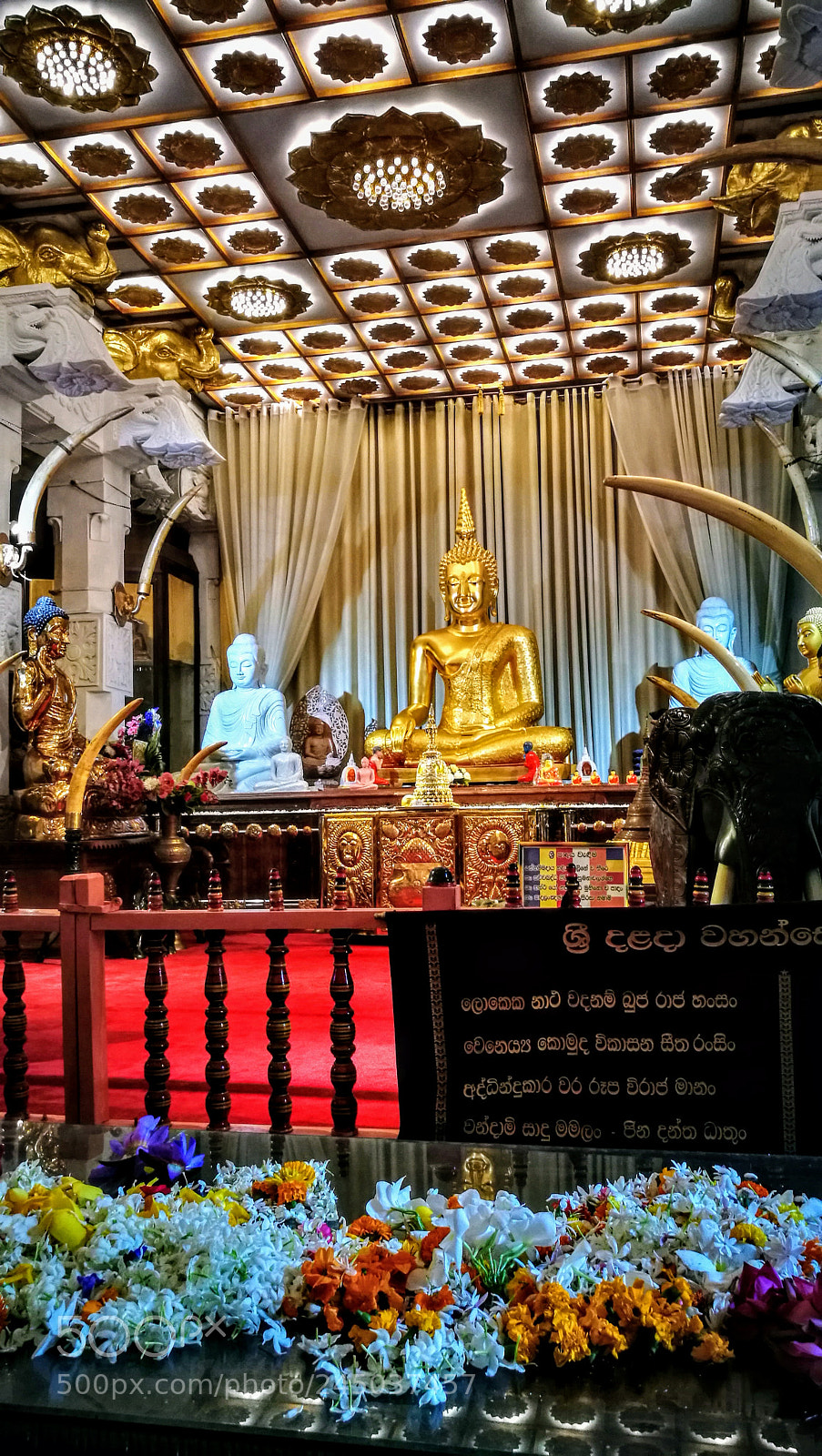 HUAWEI P9 sample photo. Untitled photography