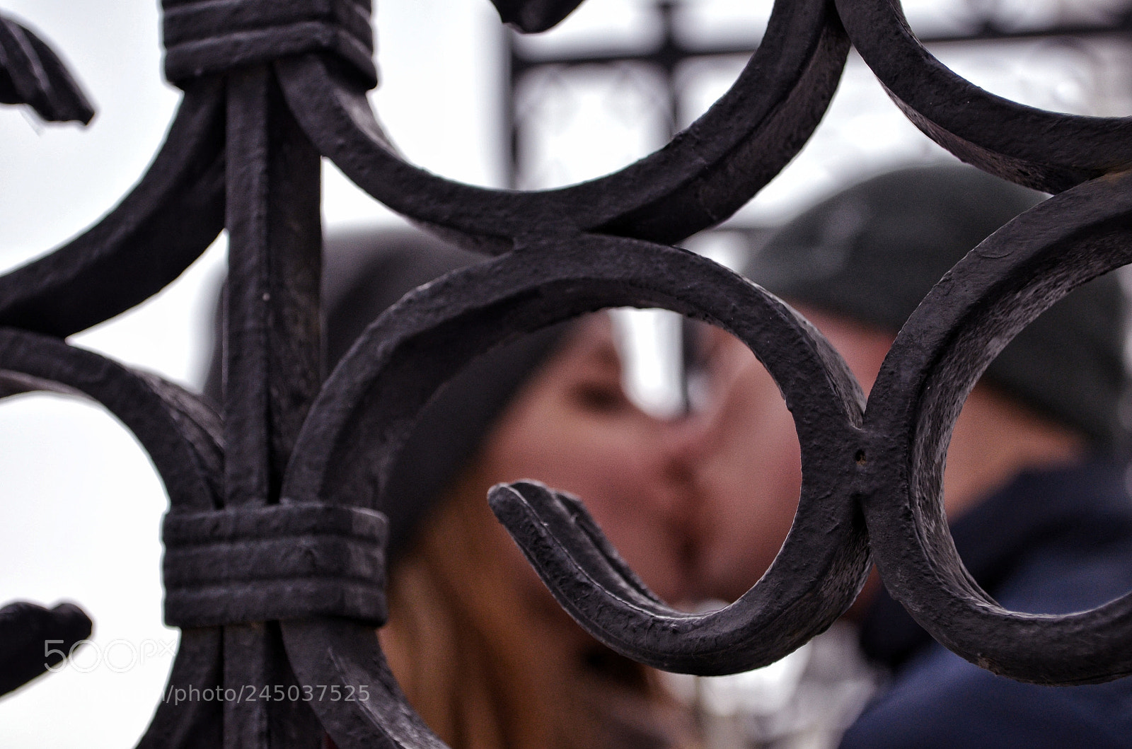 Nikon D5100 sample photo. Untitled photography