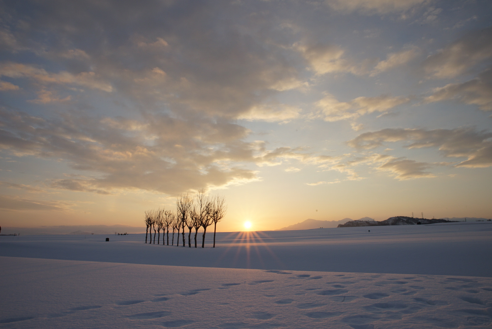 Sony a7 II + Canon EF 300mm F2.8L IS II USM sample photo. 雪原の稲架木 photography