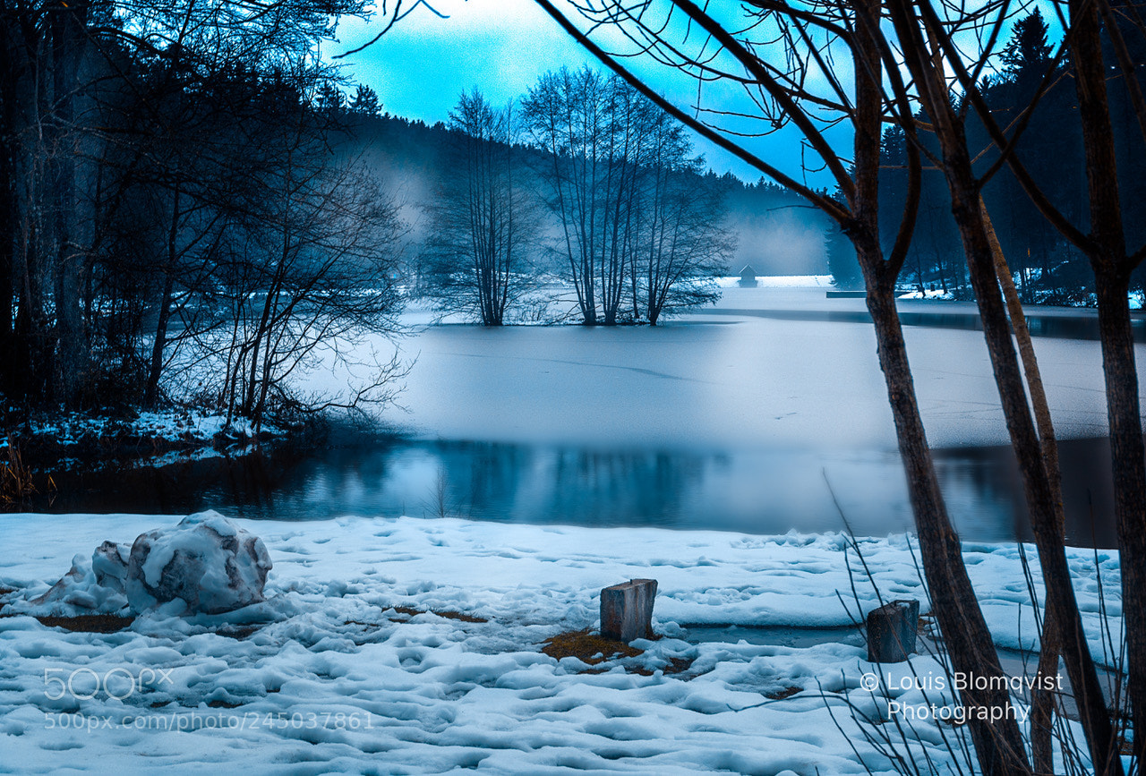 Nikon D5200 sample photo. Untitled photography