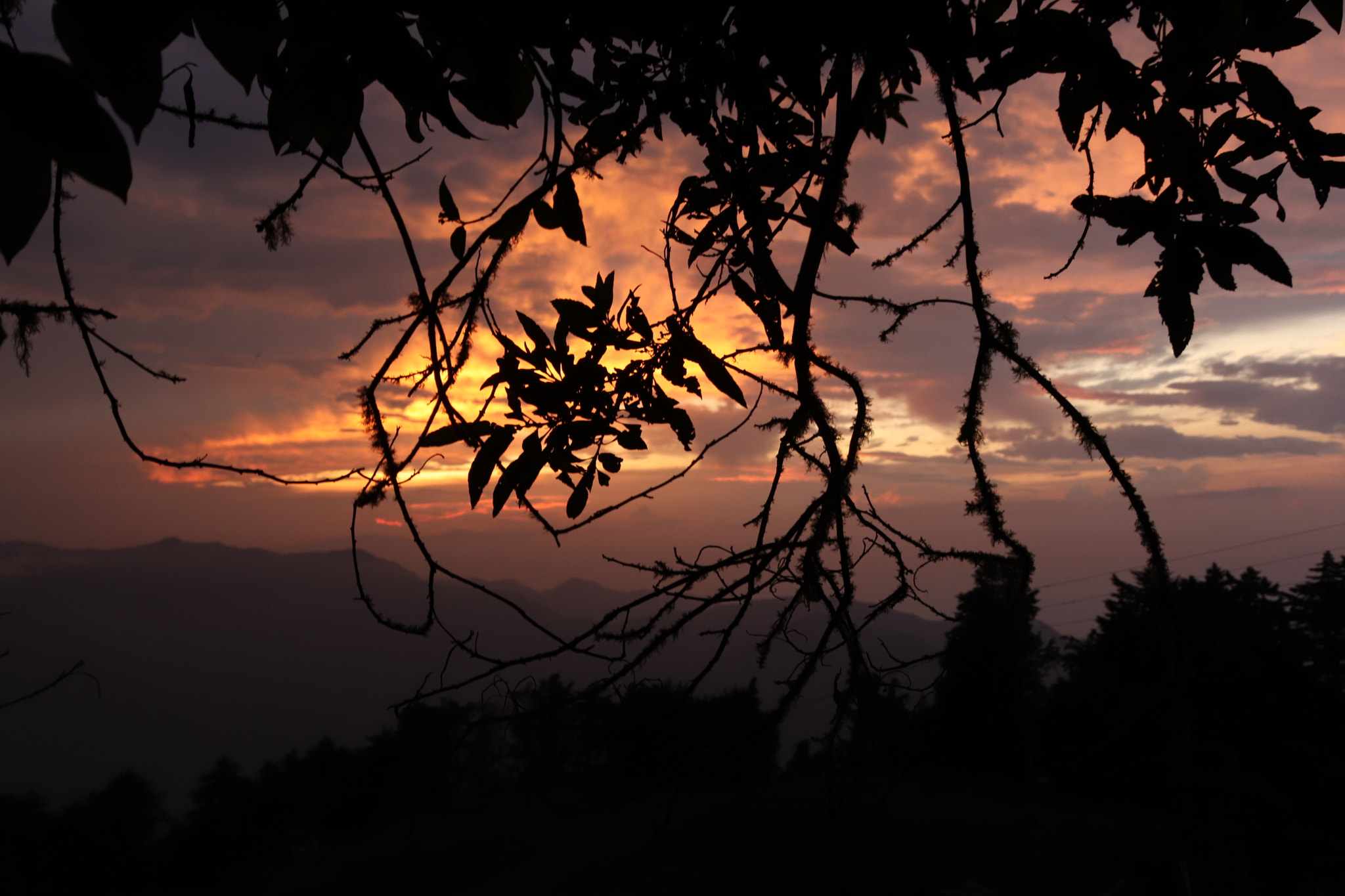 Canon EF 28-300mm F3.5-5.6L IS USM sample photo. Atardecer photography
