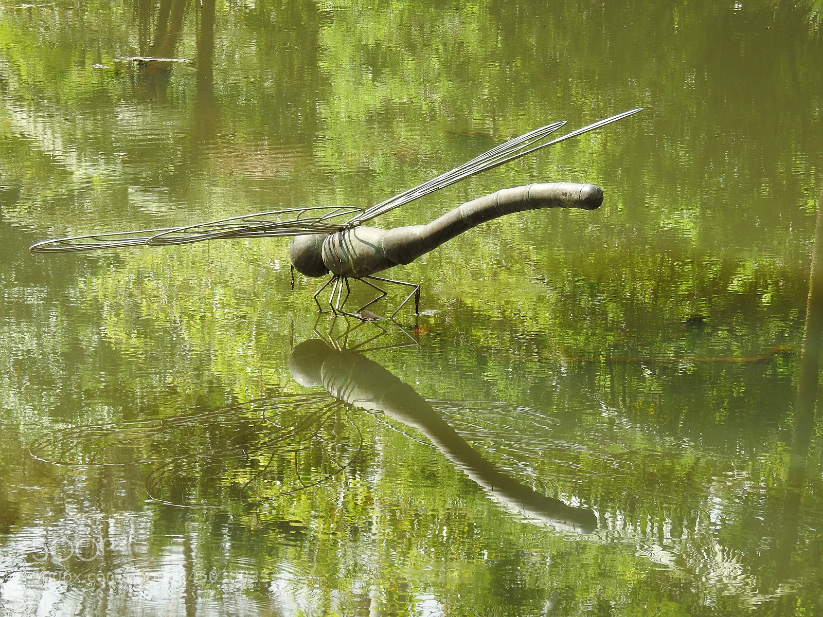 Nikon Coolpix P900 sample photo. Mosquito photography
