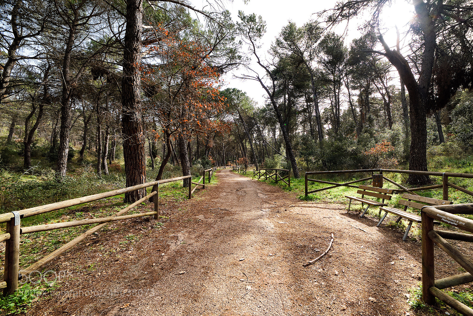 Nikon D810 sample photo. Profumi inebriano la mia photography