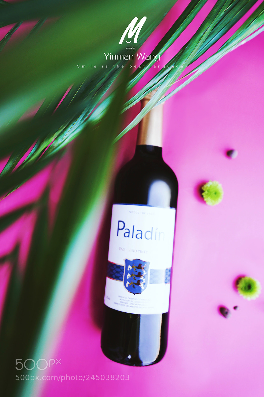 Sony a7R II sample photo. Wine photography